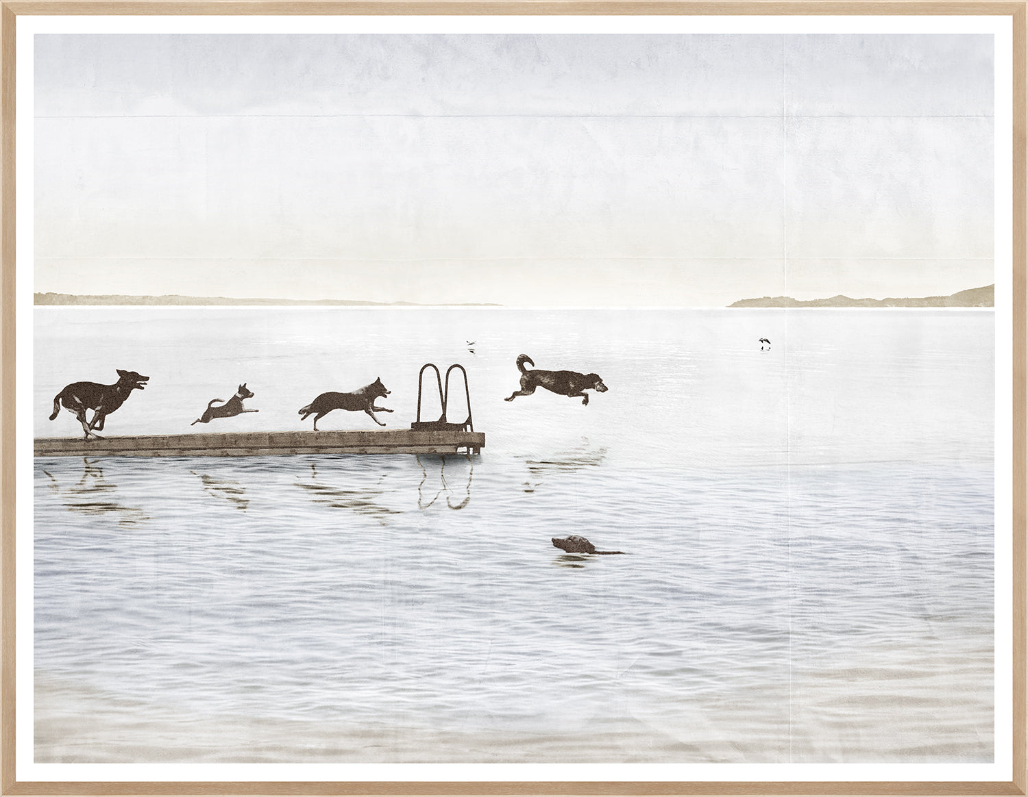 Dogs Day At The Cottage Weathered Photograph Framed Art
