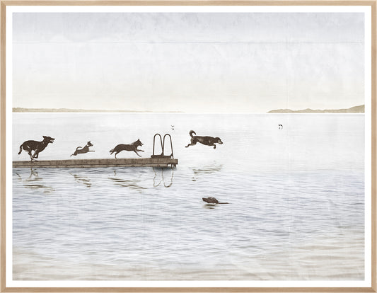 Dogs Day At The Cottage Weathered Photograph Framed Art