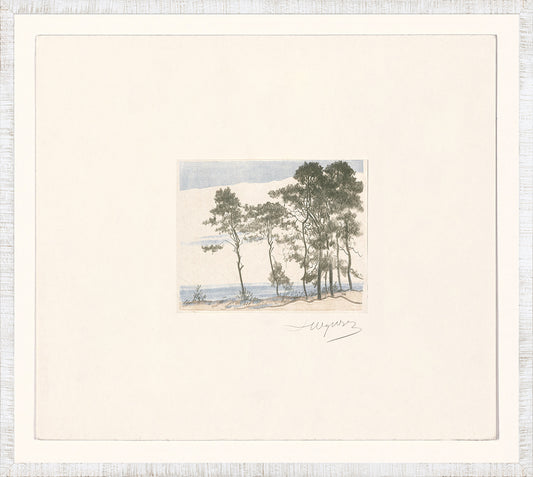 Collection 24 Sand Dunes C. 1902 Framed Art