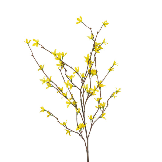 Yellow Forsythia Branch - 46 Inch