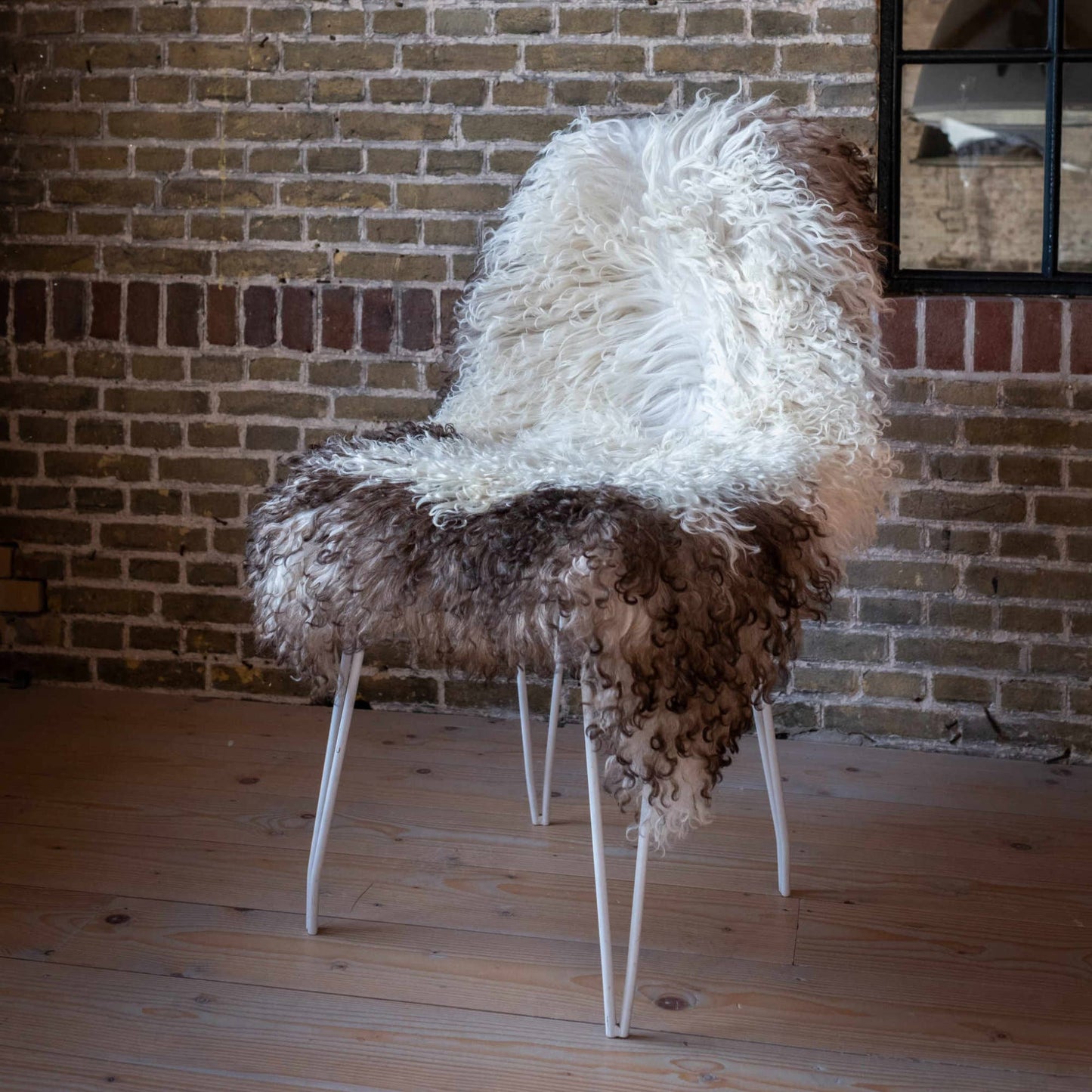 Naturally Spotted Curly Sheepskin - Austrian Mountain Fleece