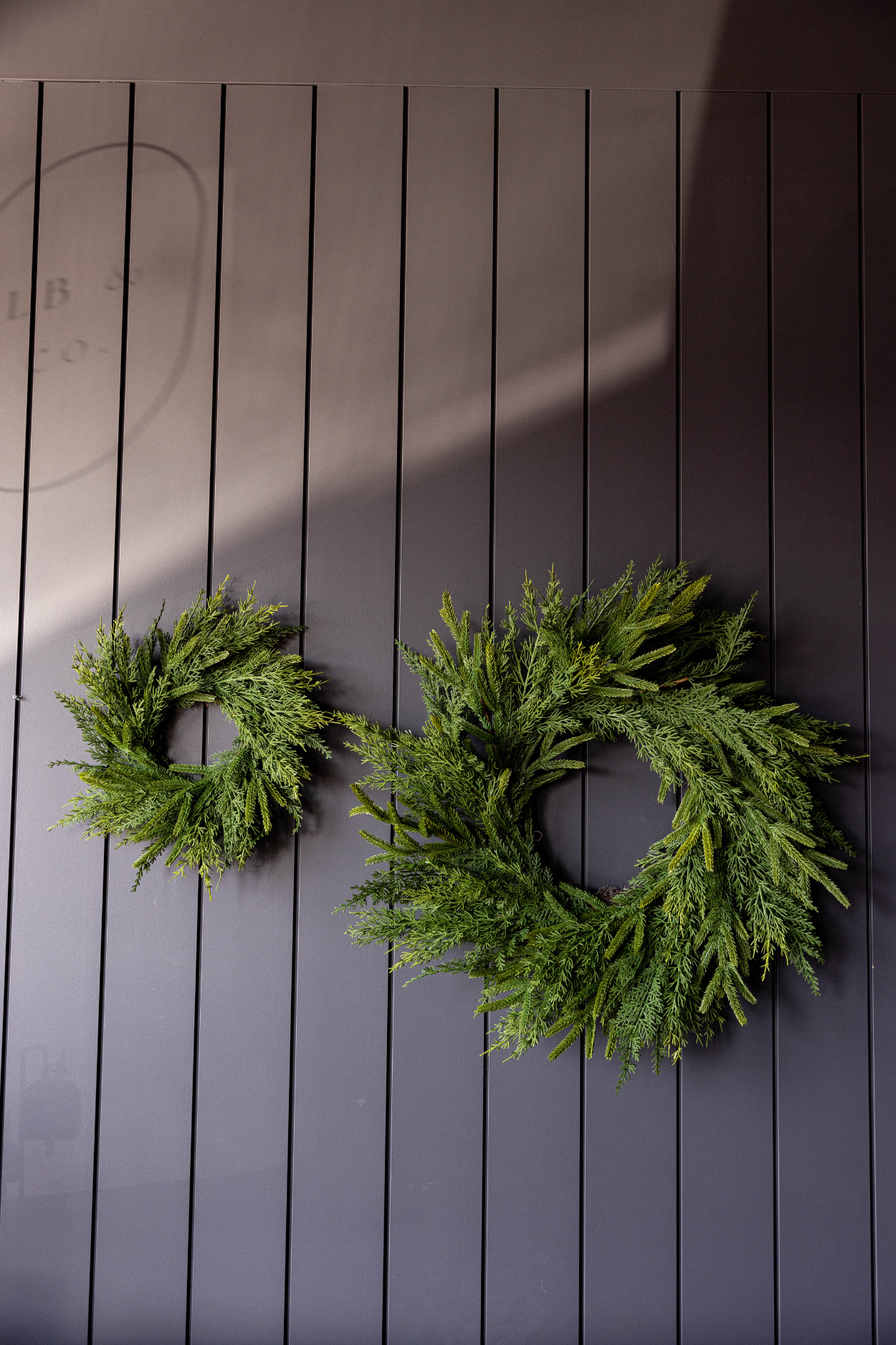 Norfolk & Cypress Pine Mixed Wreath Mini