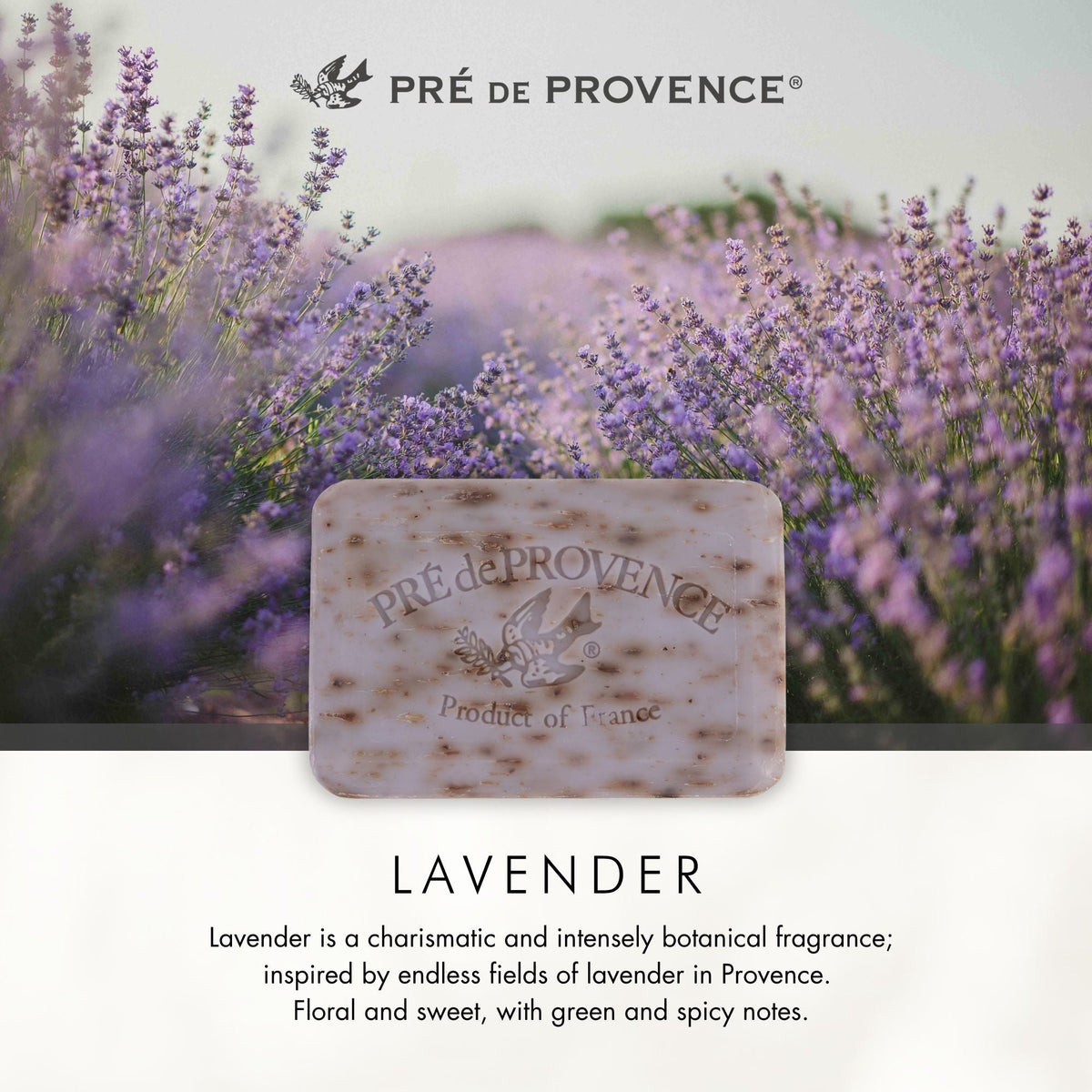 Lavender Soap Bar - 150g, 250g