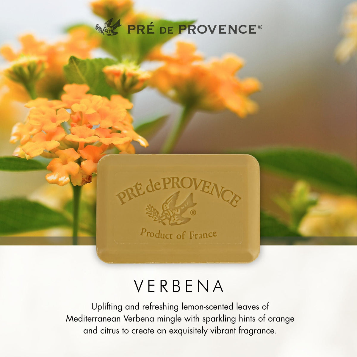 Verbena Soap Bar - 25g, 150g, 250g