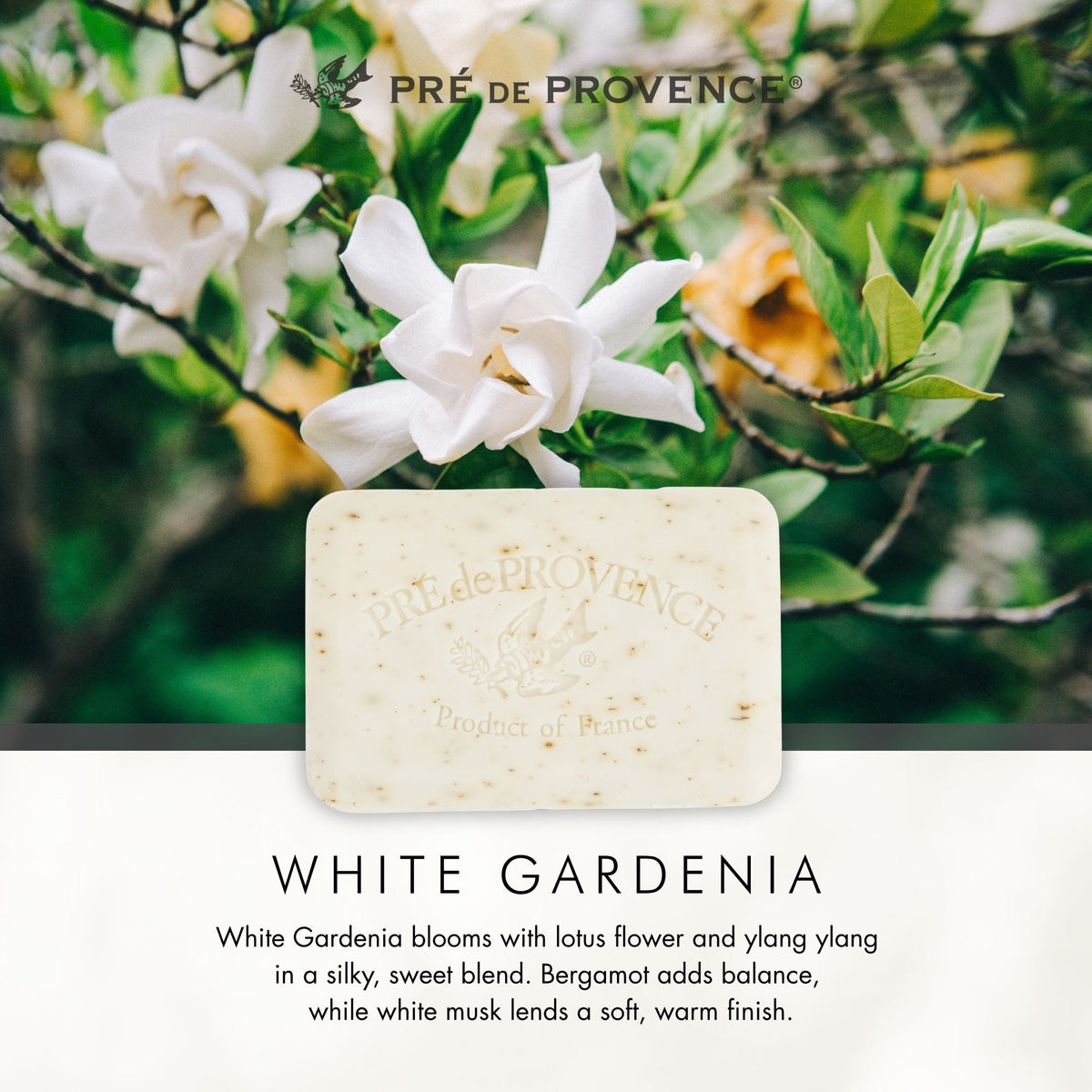 White Gardenia Soap Bar - 25g, 150g, 250g