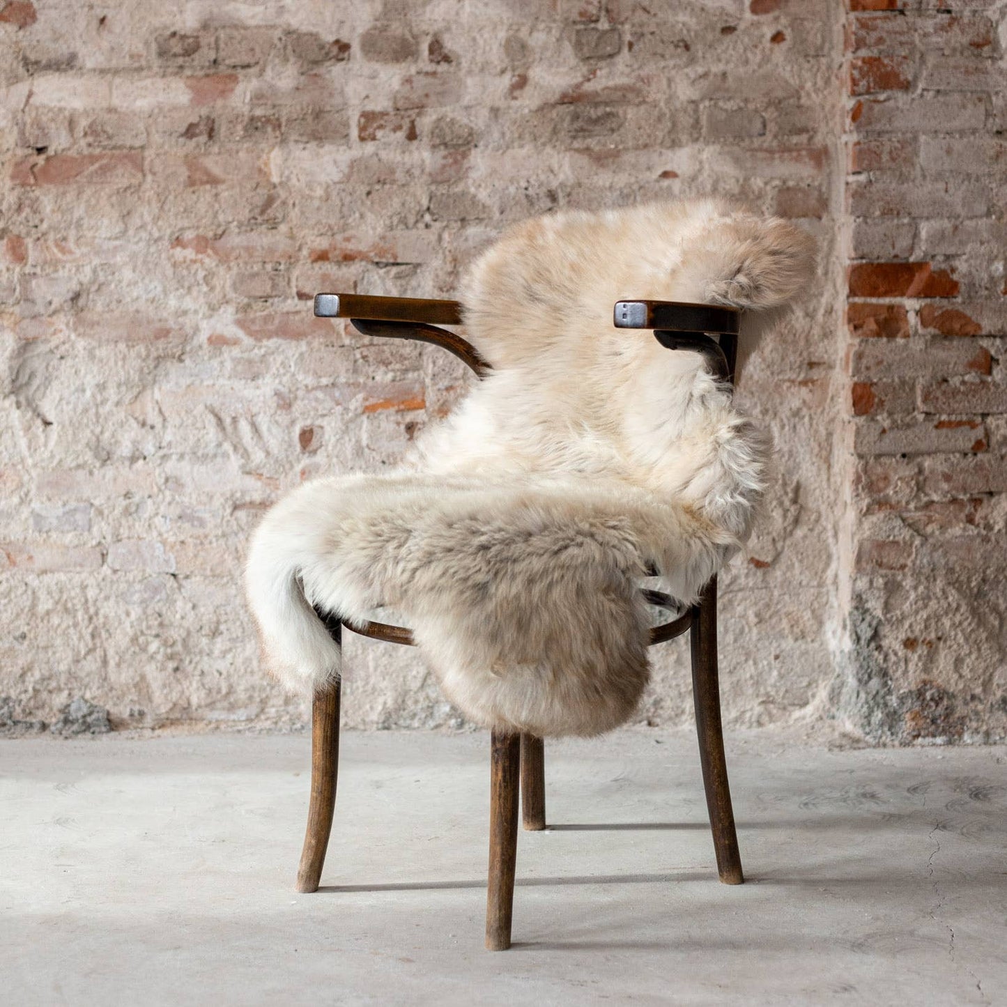 Texel sheepskin mottled