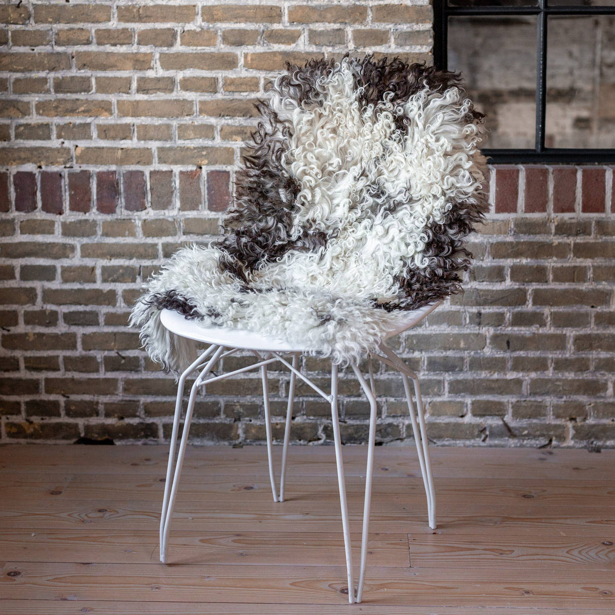 Curly Austrian Lambskin | Multi-Tone Natural Hide | 50-70 cm