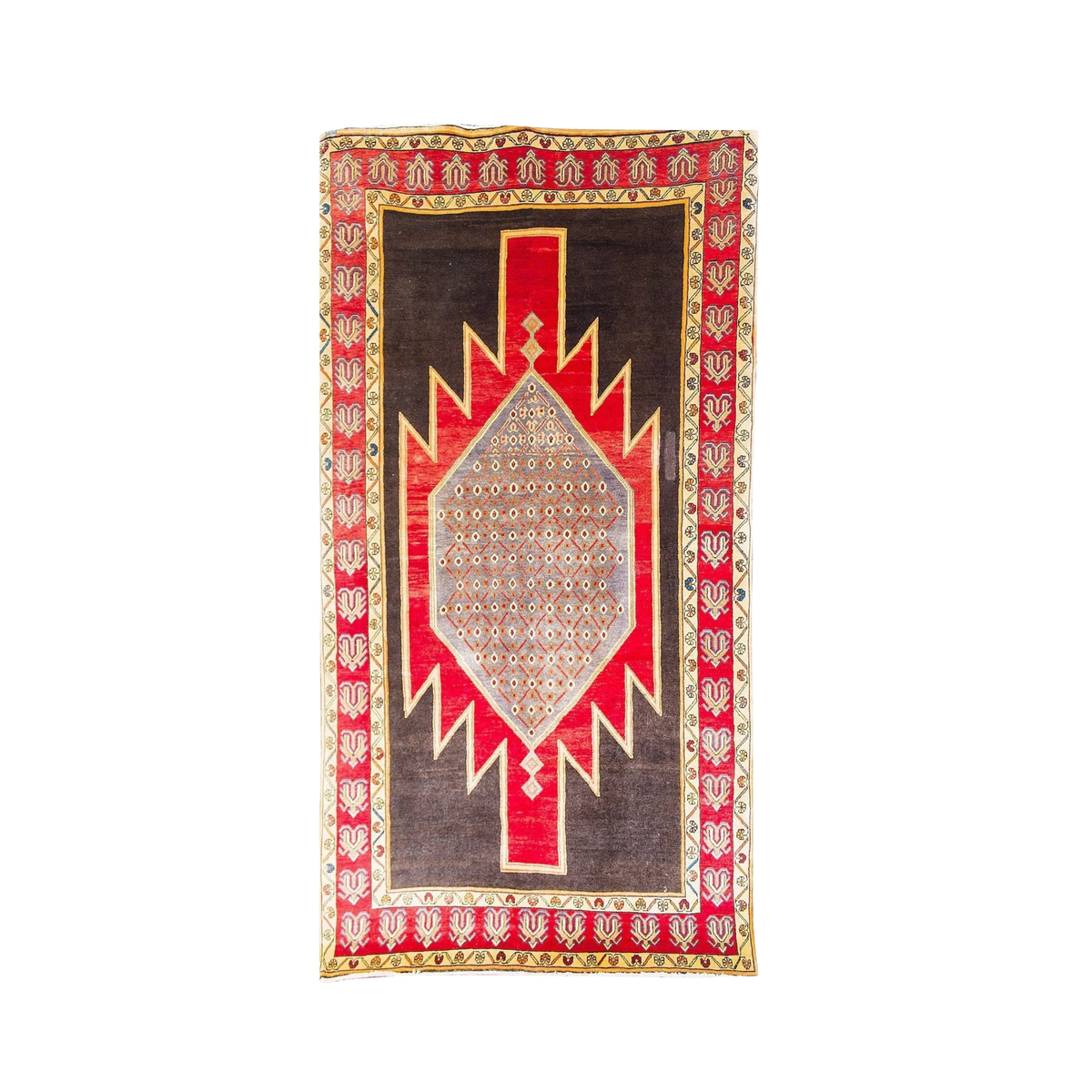 Zanjan Wool Hand Knotted Persian Rug - 4'9" x 9'3"	N17055