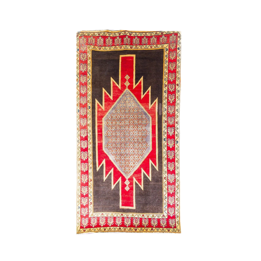 Zanjan Wool Hand Knotted Persian Rug - 4'9" x 9'3"	N17055