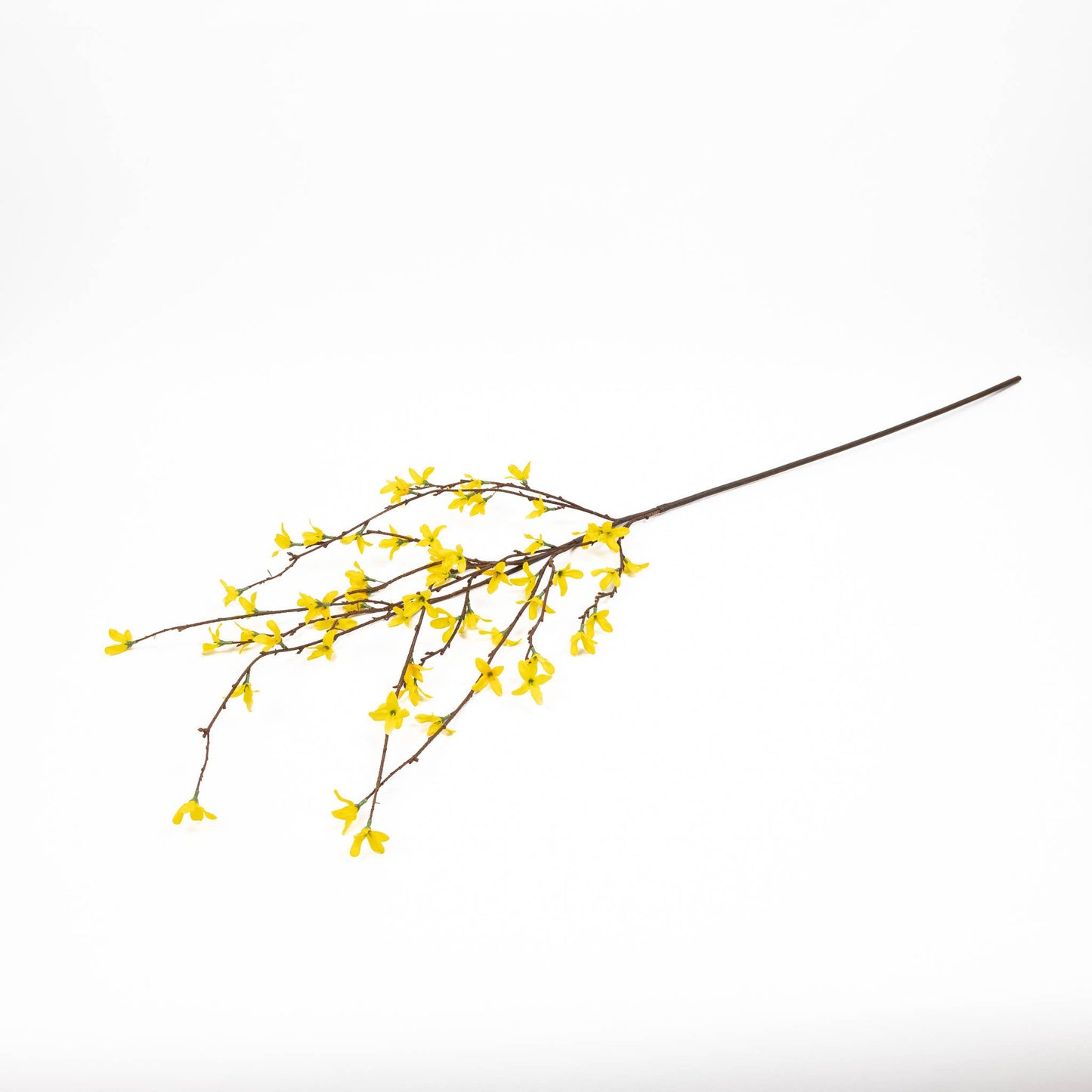 Yellow Forsythia Branch - 46 Inch