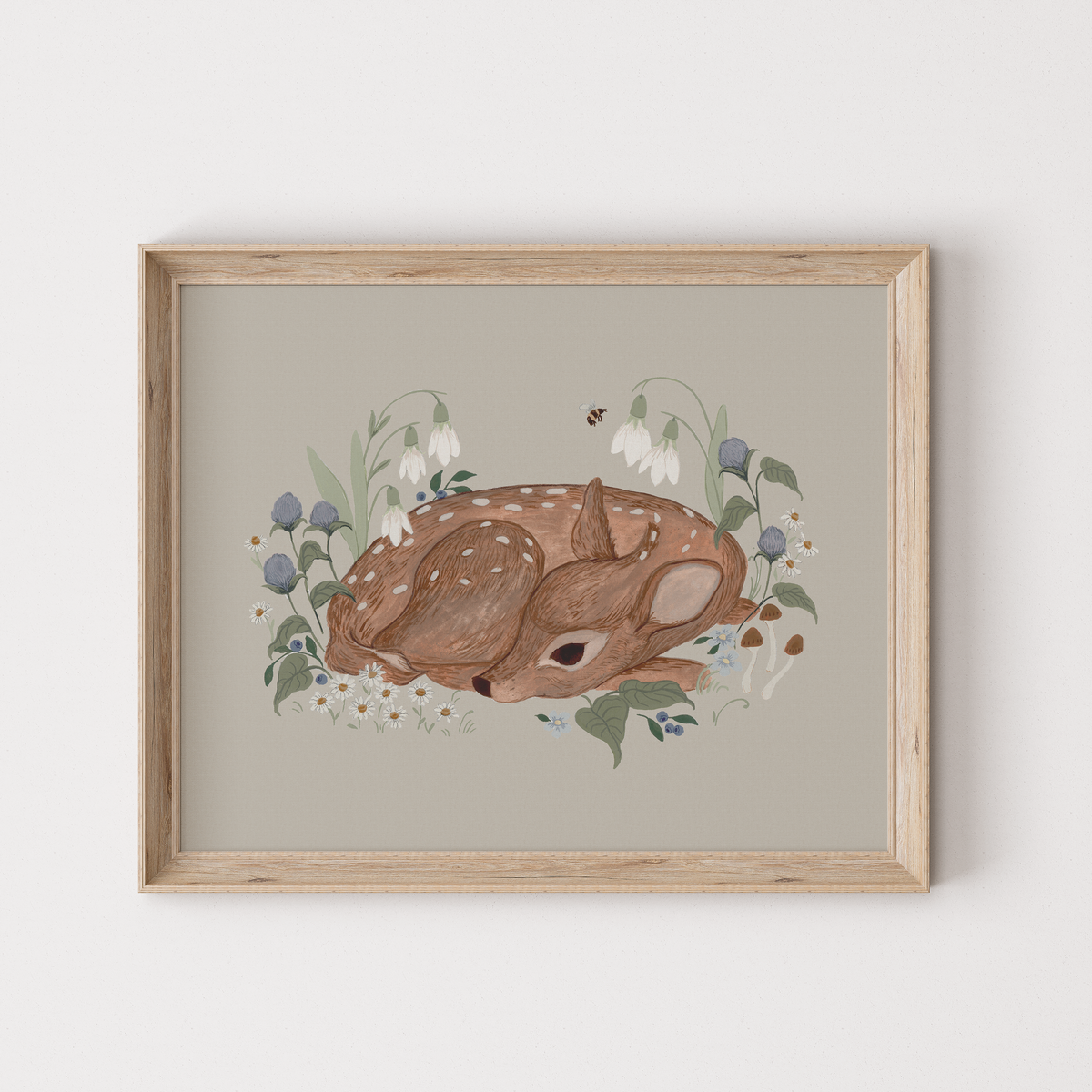 Little Fawn