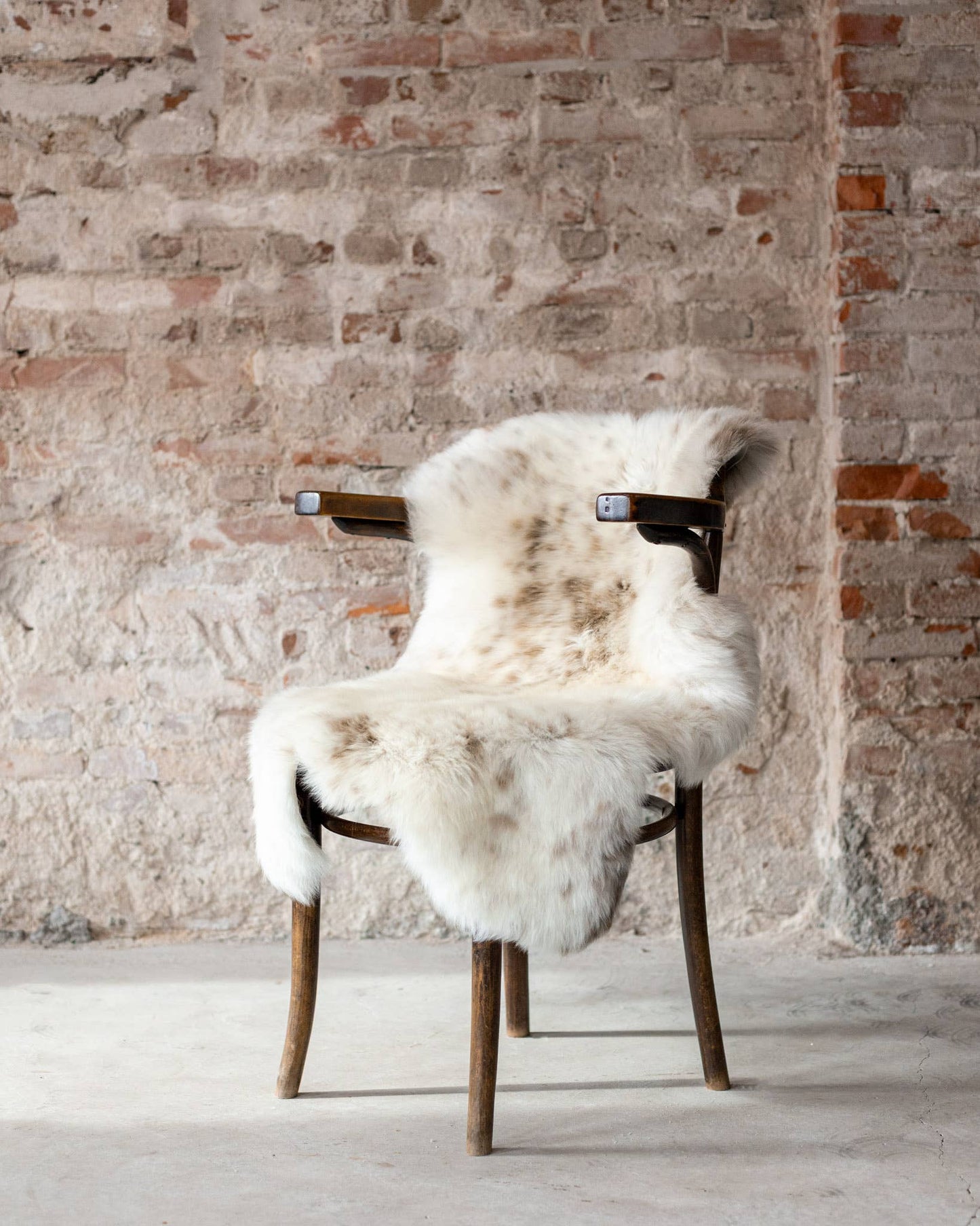 Texel sheepskin mottled