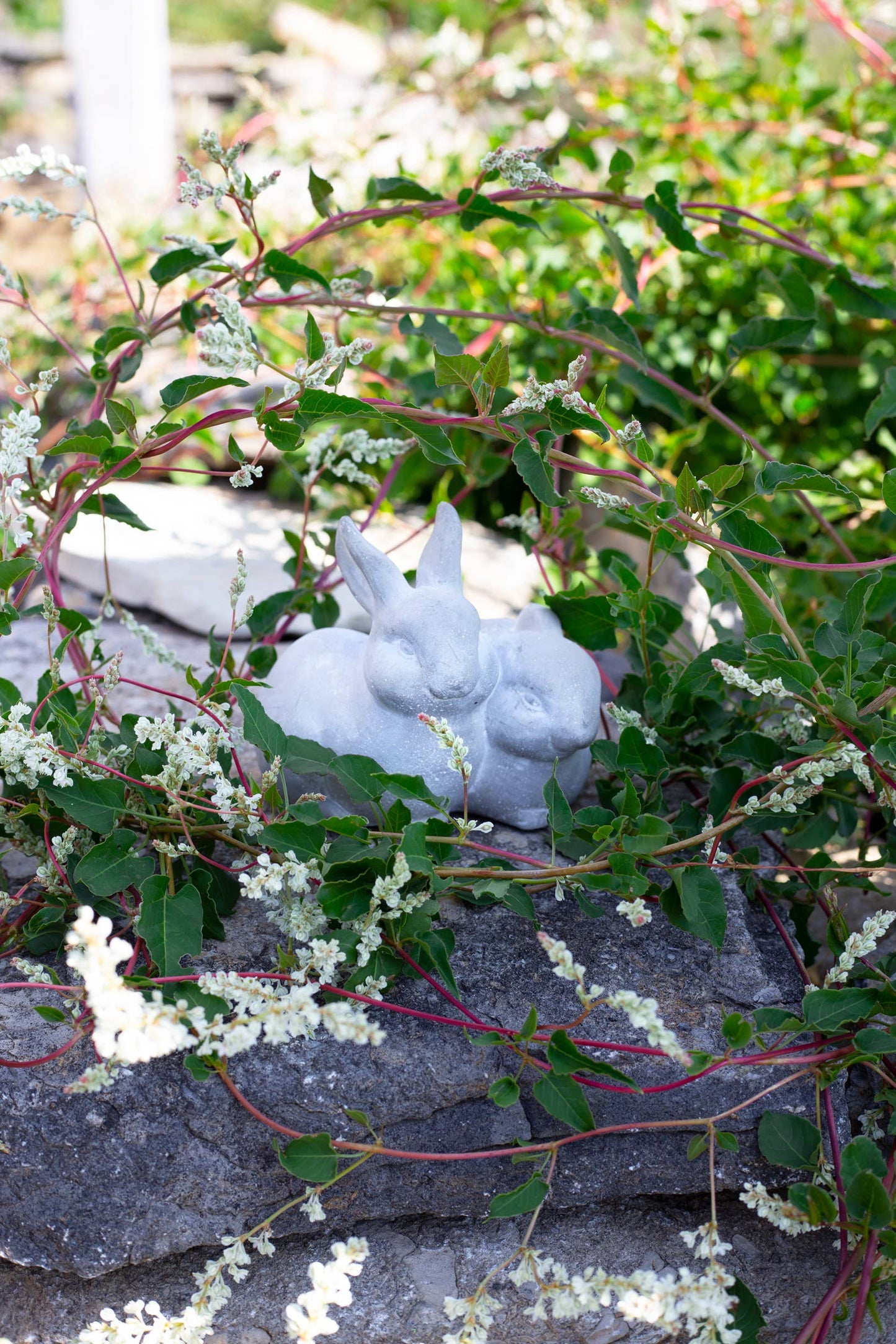 Cement Rabbits