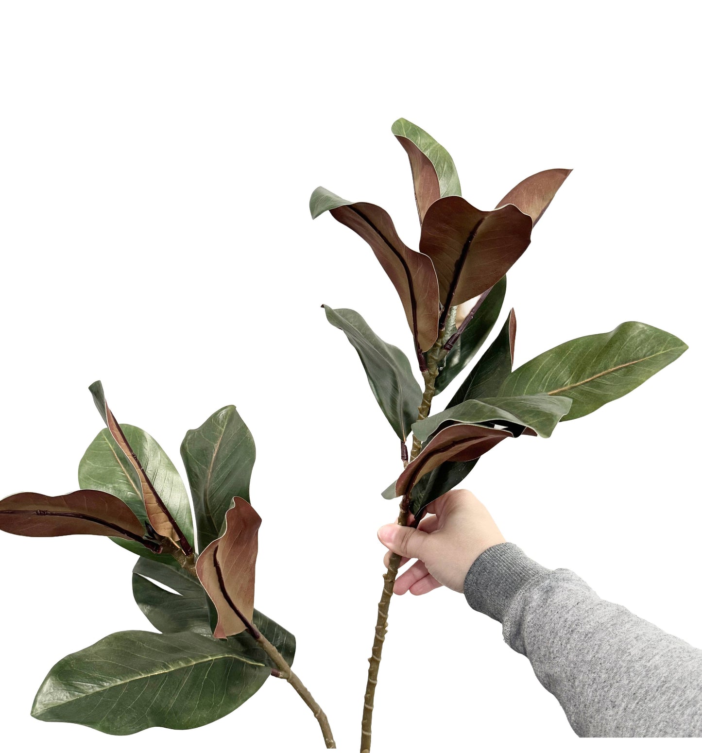 42" Elegant Extra Long Realistic Magnolia-17 Large leaves