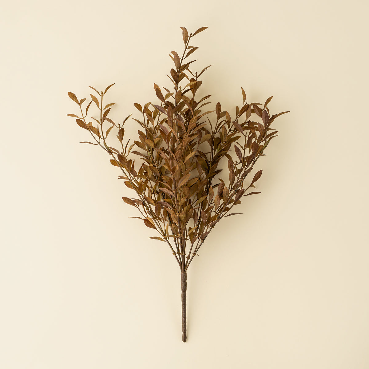 Willow Leaf Spray, Harvest