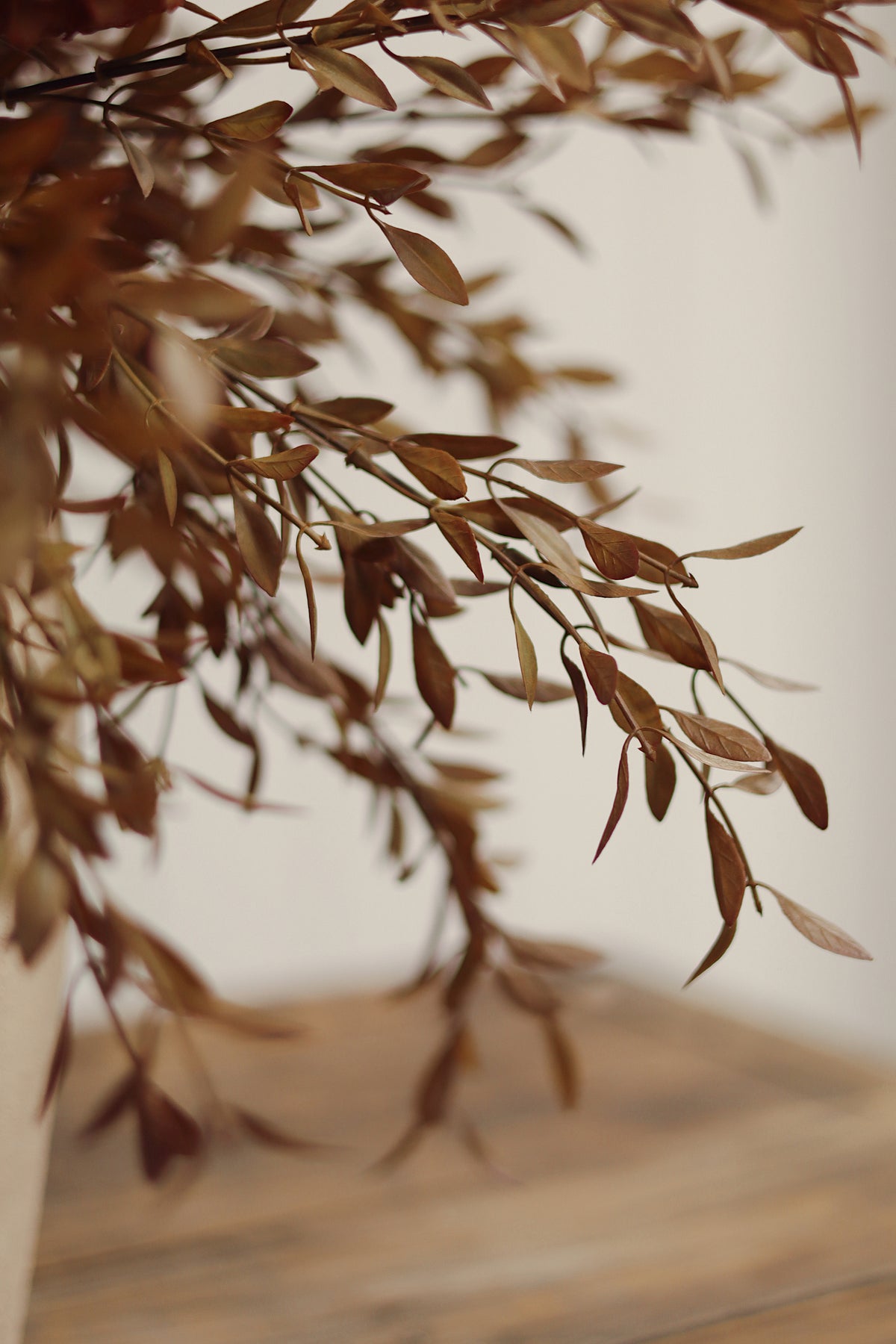 Willow Leaf Spray, Harvest