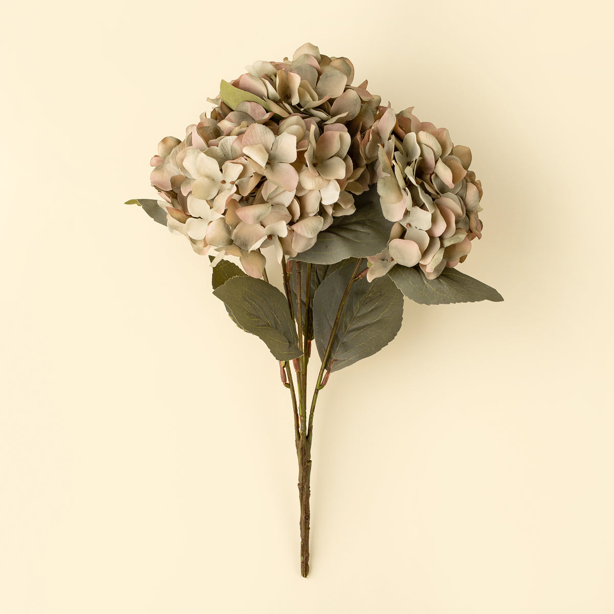 Autumn Hydrangea Spray, Vintage Green