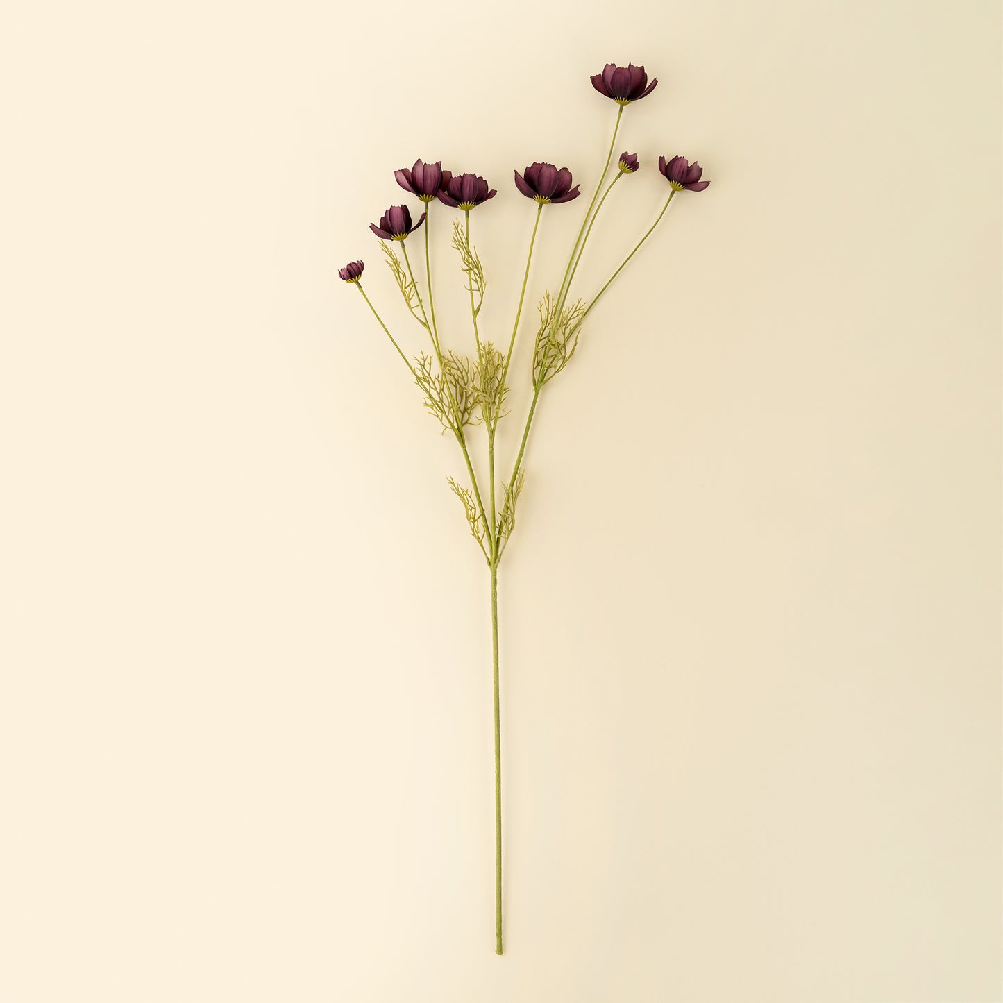 Calliopsis Spray, Deep Purple