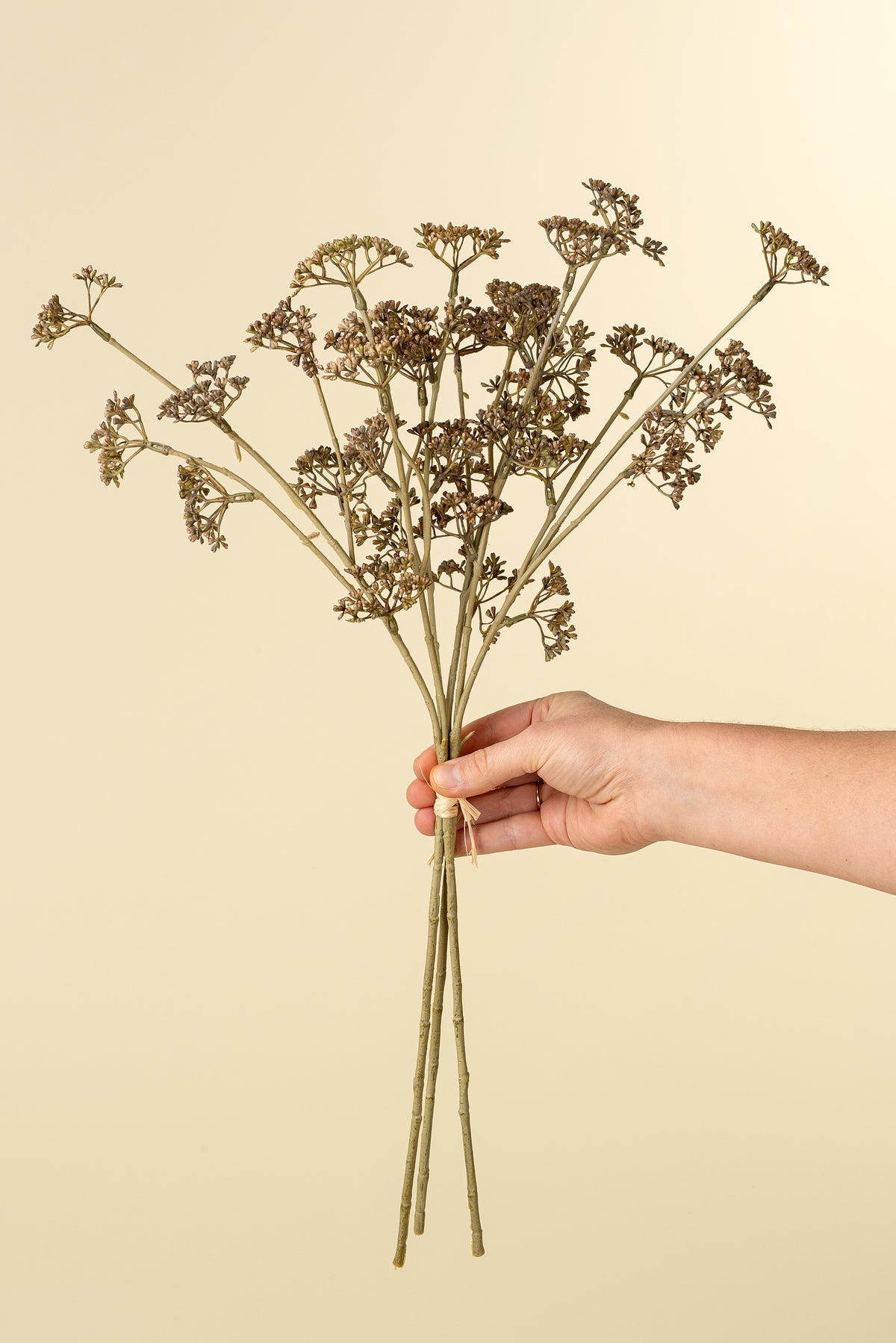 Meadow Grass Bouquet, Brown