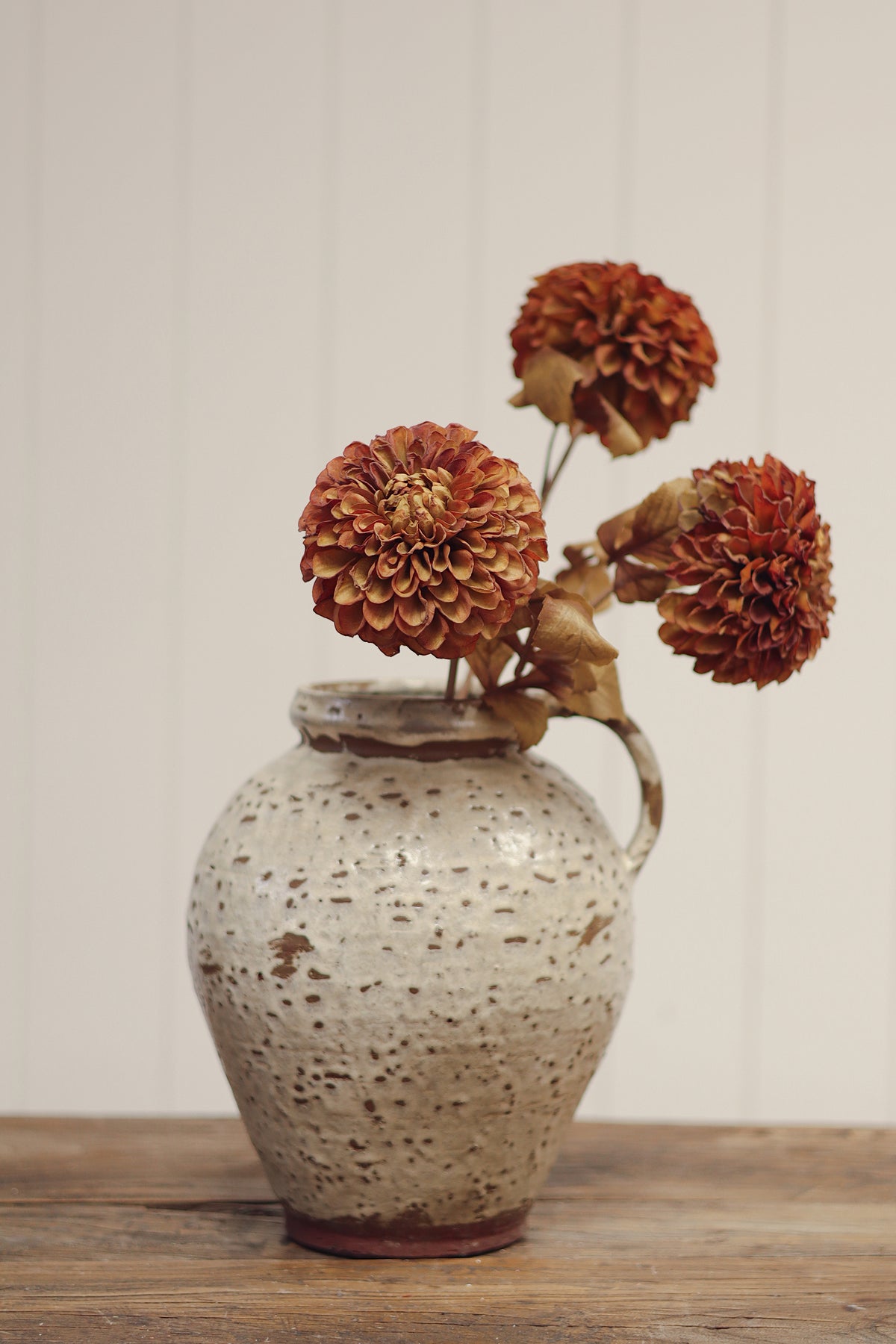 Pompon Dahlia Stem, Brown
