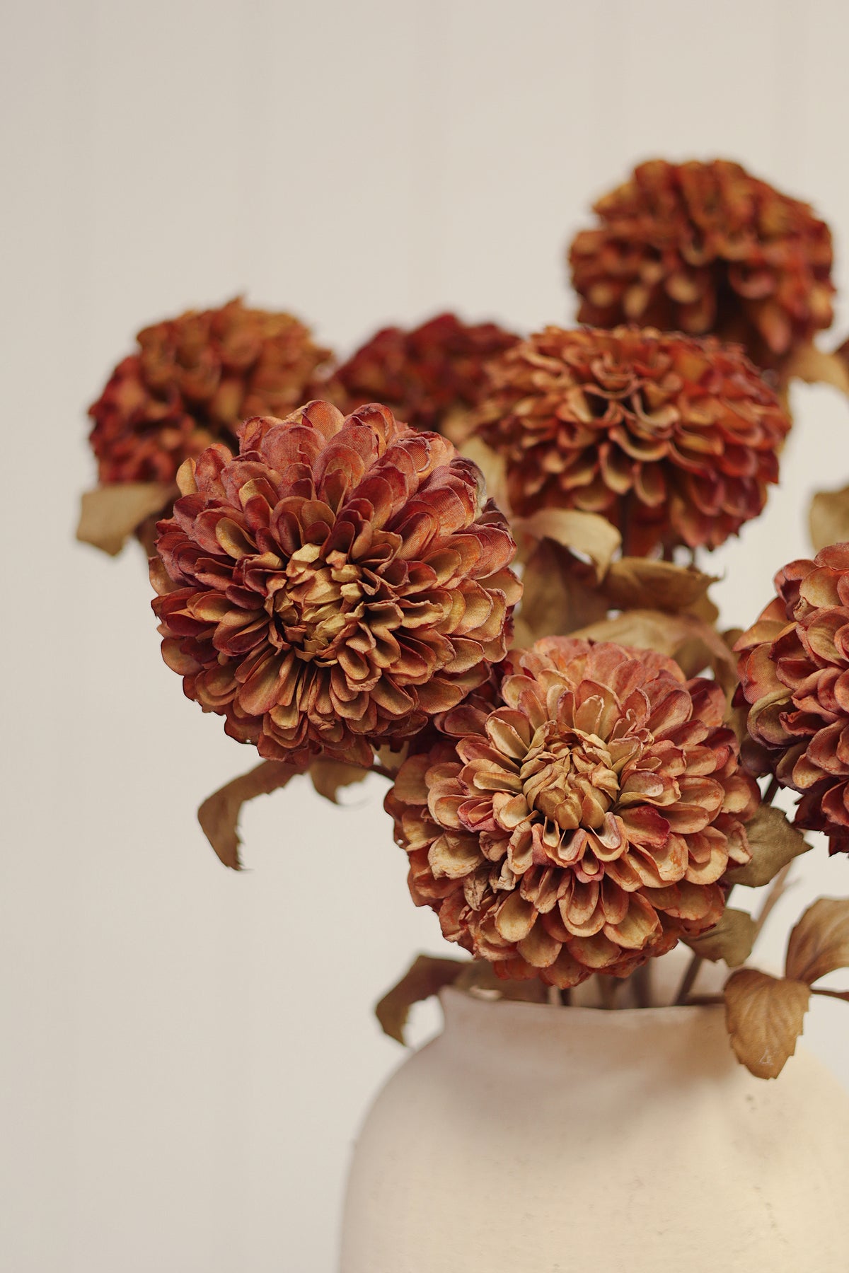 Pompon Dahlia Stem, Brown