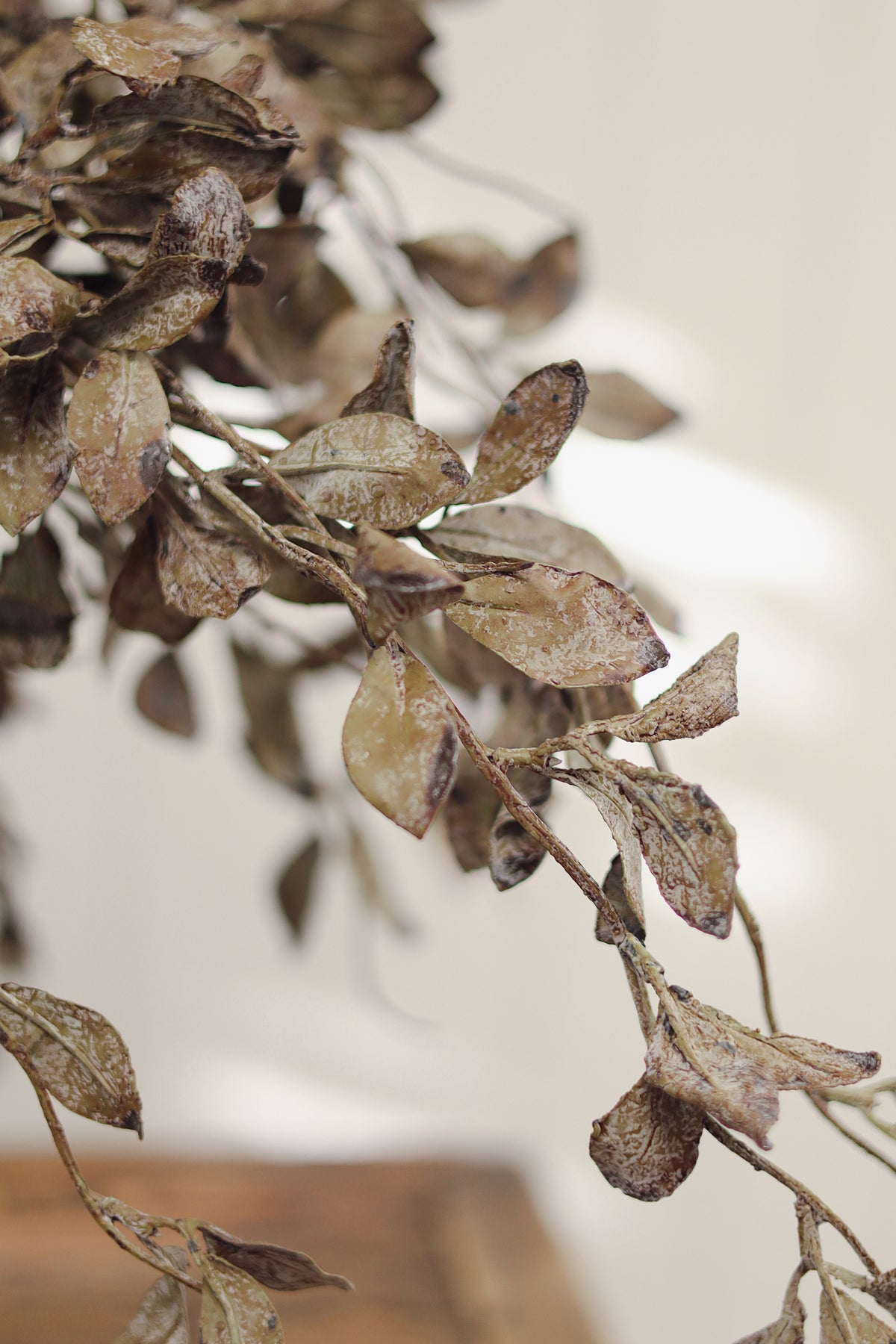 Smoked Eucalyptus Spray