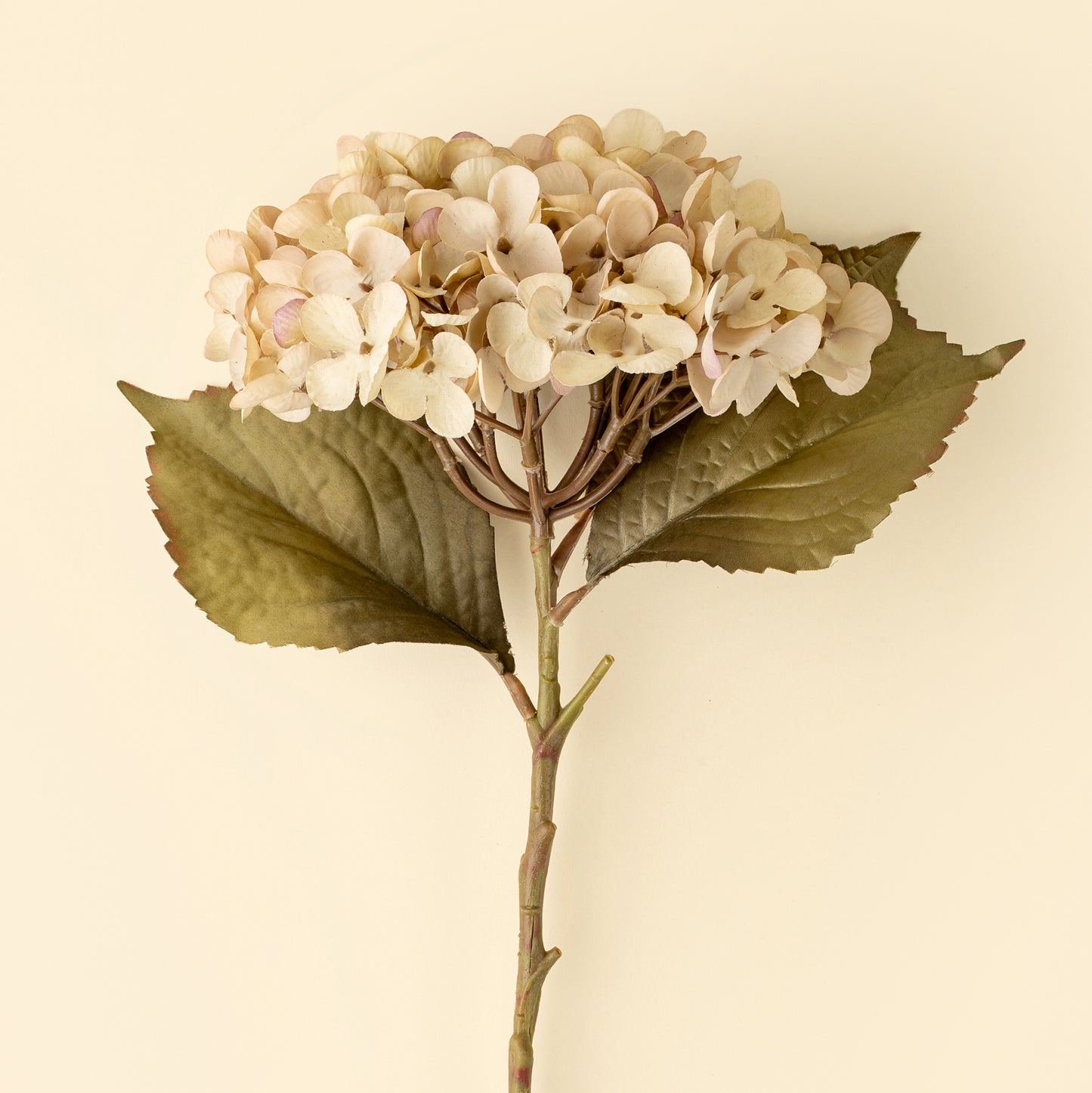 Heirloom Hydrangea Stem, White