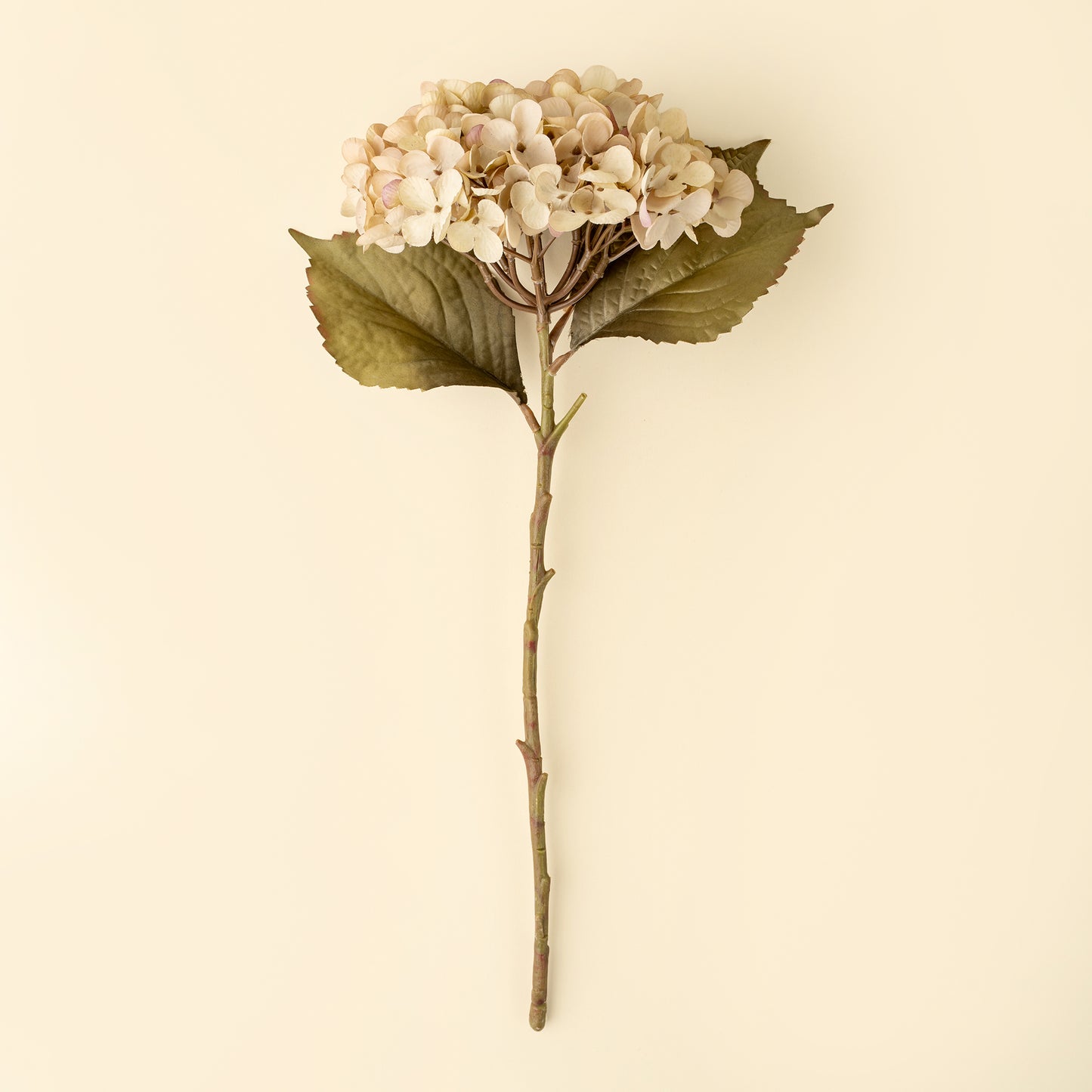 Heirloom Hydrangea Stem, White