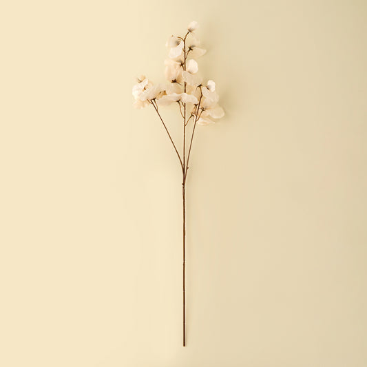 Sweet Pea Stem