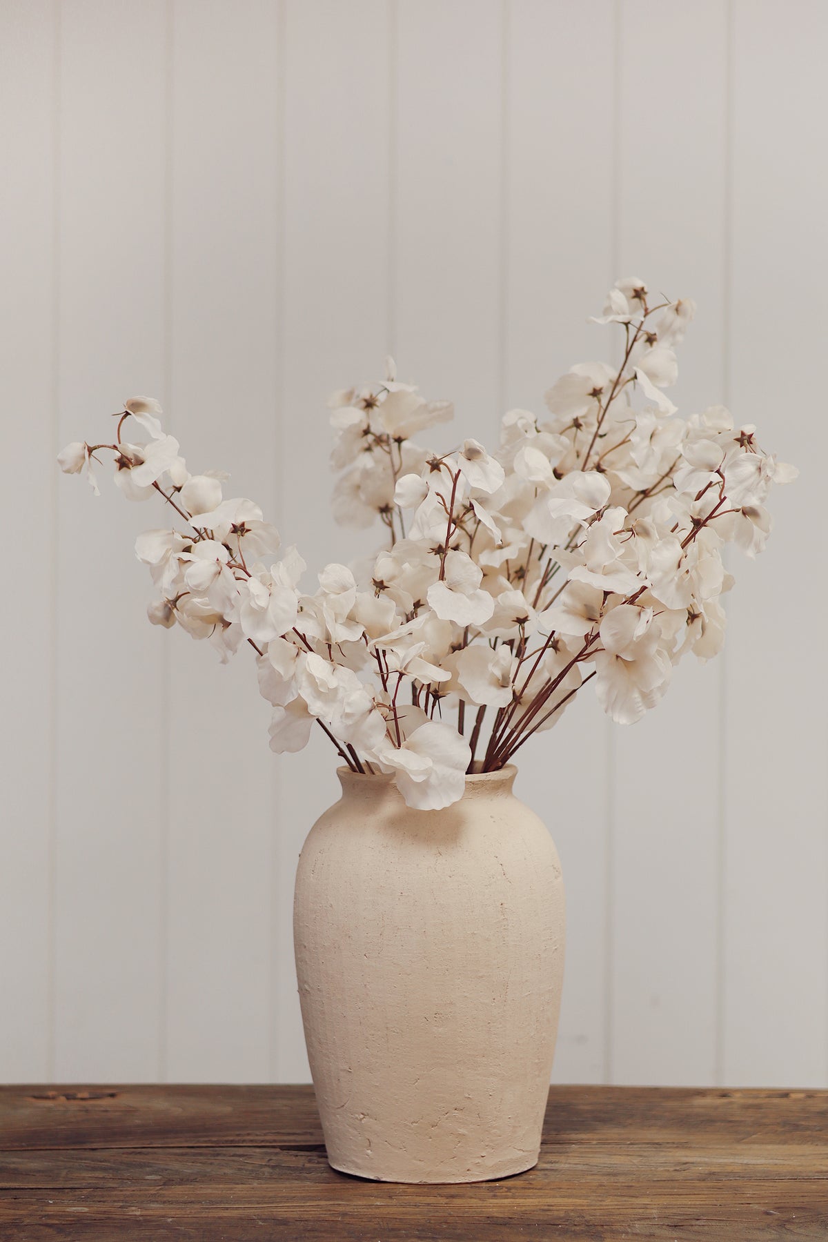 Sweet Pea Stem