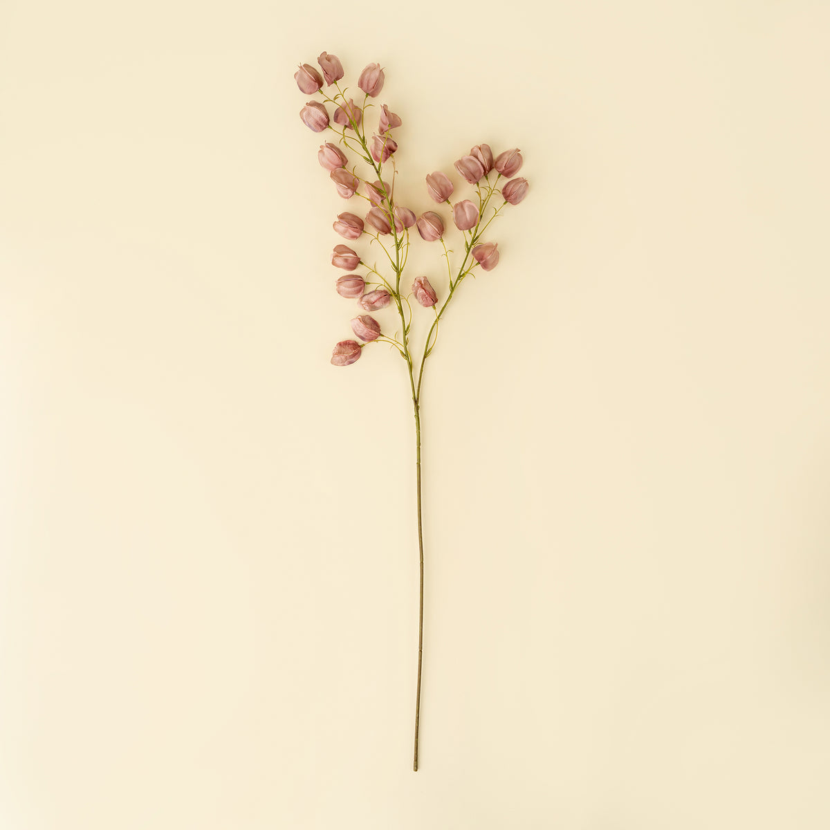 Lantern Flower Stem, Dusty Pink