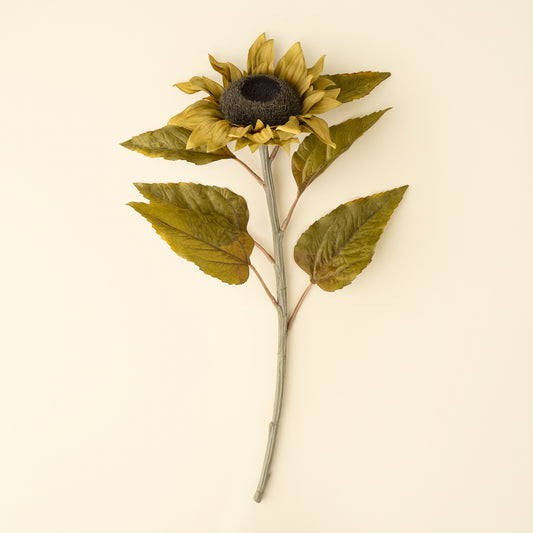 Harvest Sunflower Stem