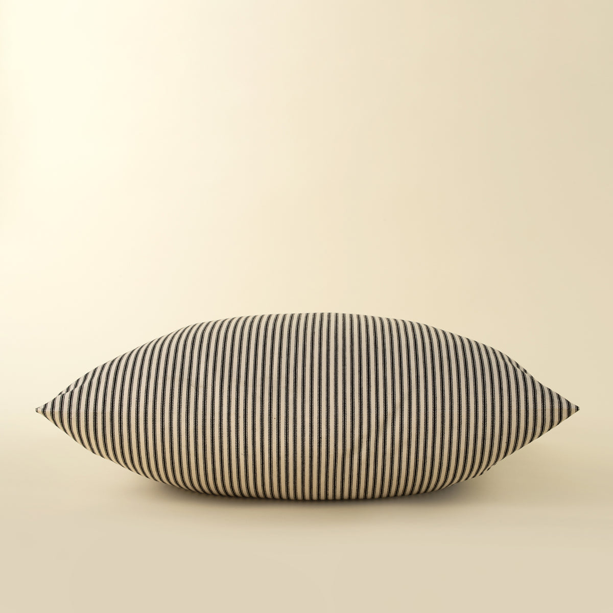 24x24 Black Ticking Pillow