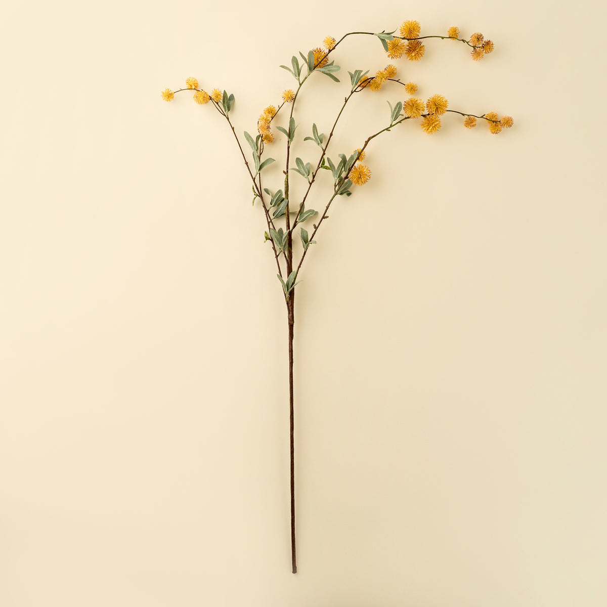 Golden Globe Flower Spray