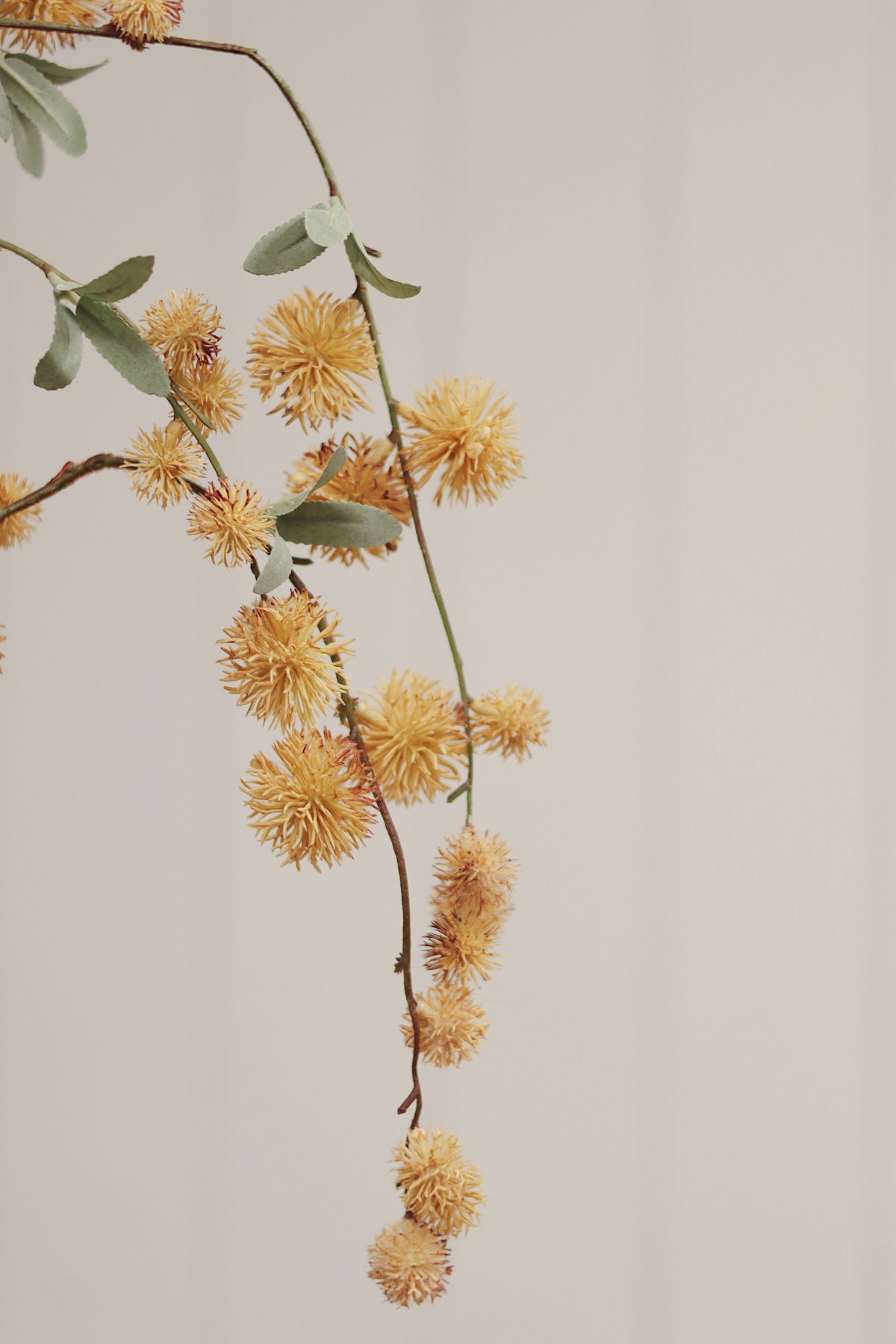 Golden Globe Flower Spray