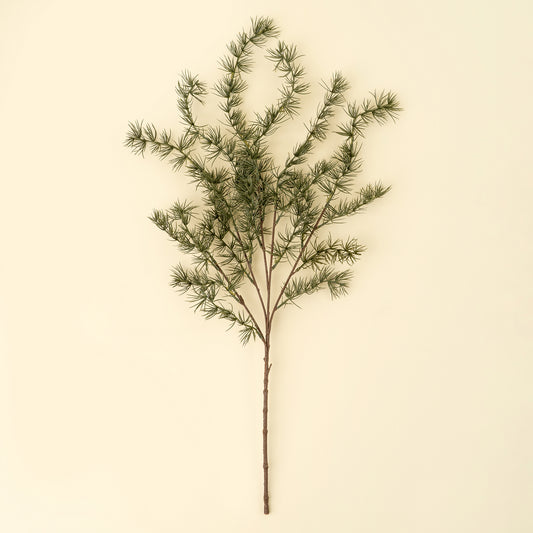 Evergreen Larch Sprig