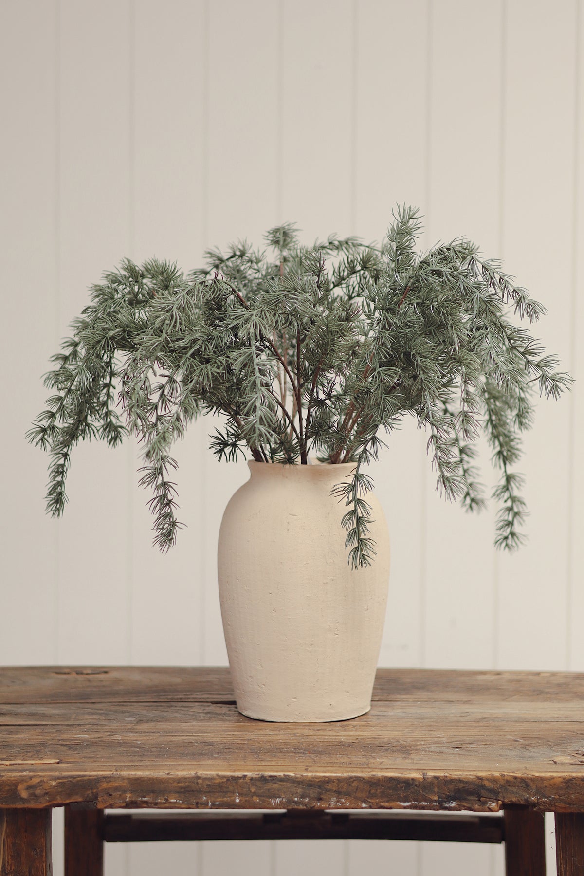 Evergreen Larch Sprig