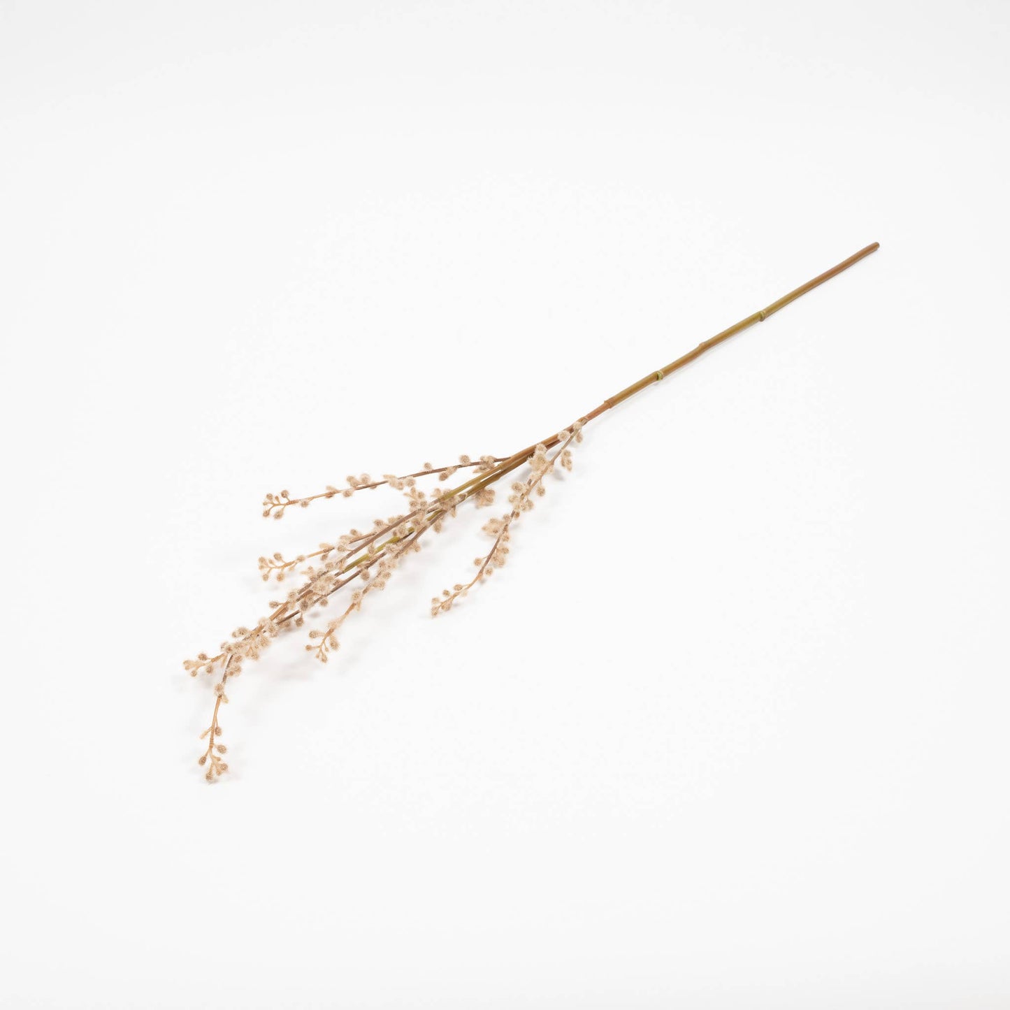 Pussy Willow Branch - 32 Inch