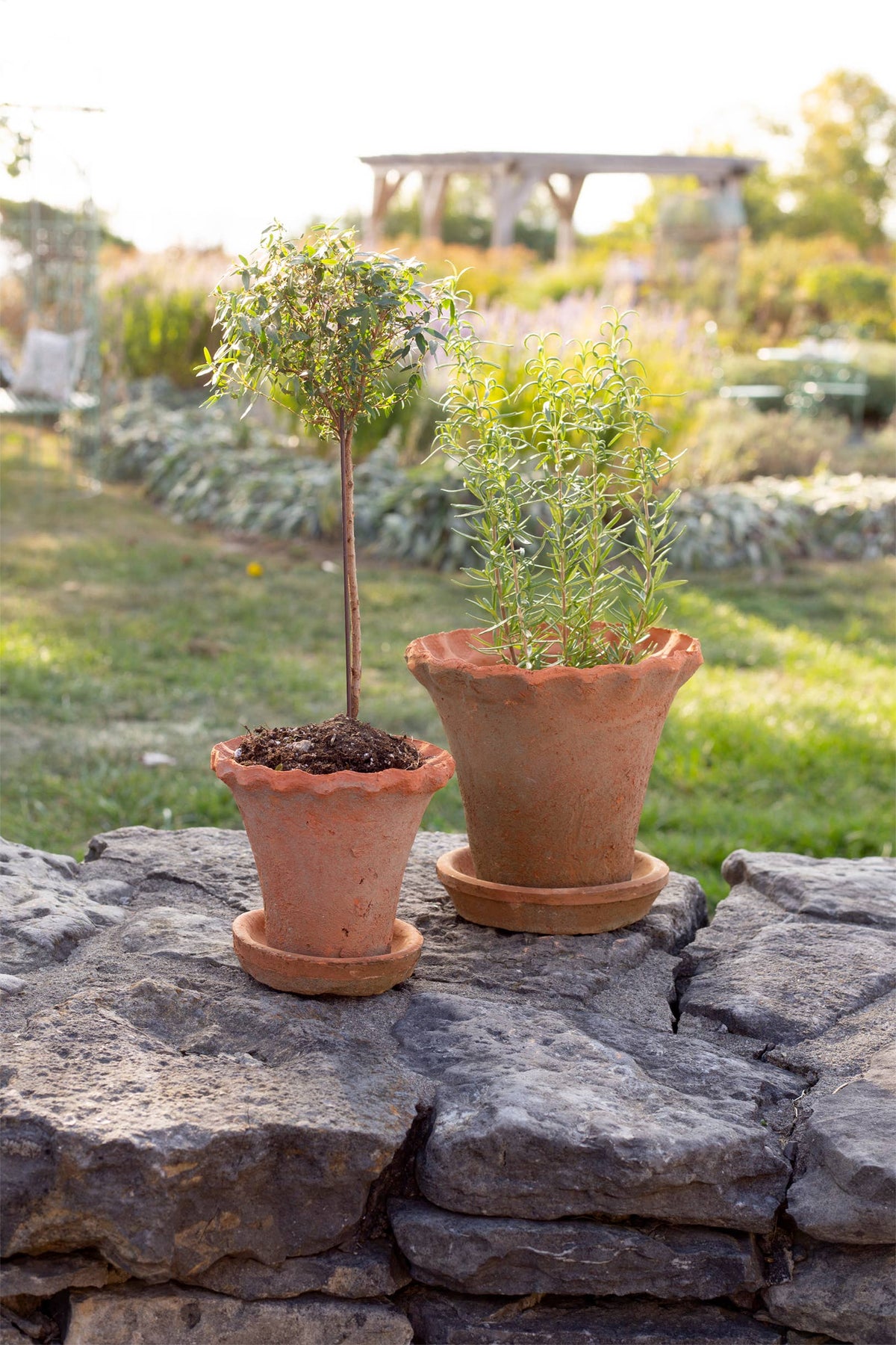 SMALL FRILLY EDGE REDSTONE POT WITH SAUCER