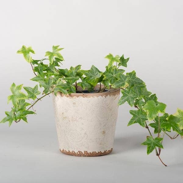 Ceramic Flower Pot