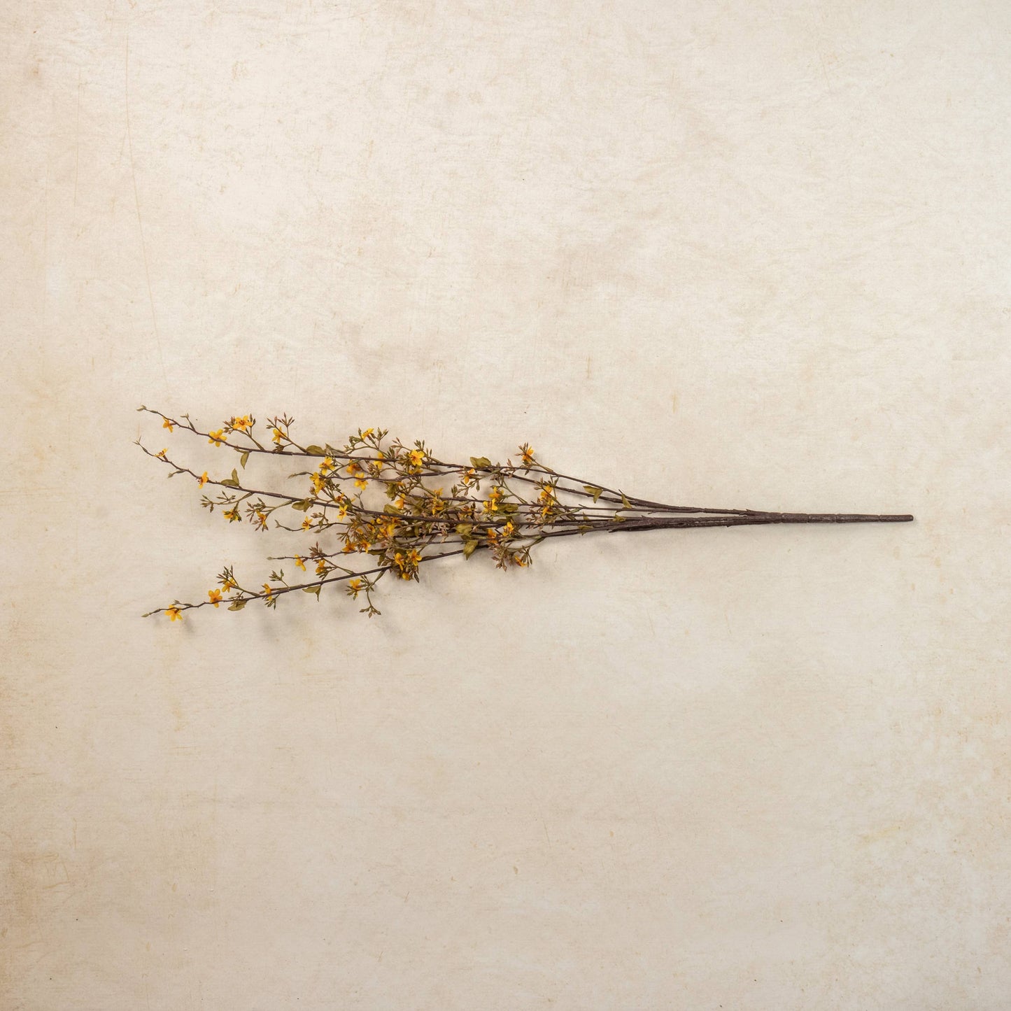 36" YELLOW SEEDED WAX FLOWER SPRAY