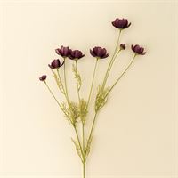 Calliopsis Spray, Deep Purple
