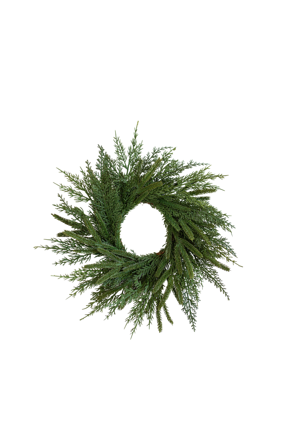 Norfolk & Cypress Pine Mixed Wreath Mini