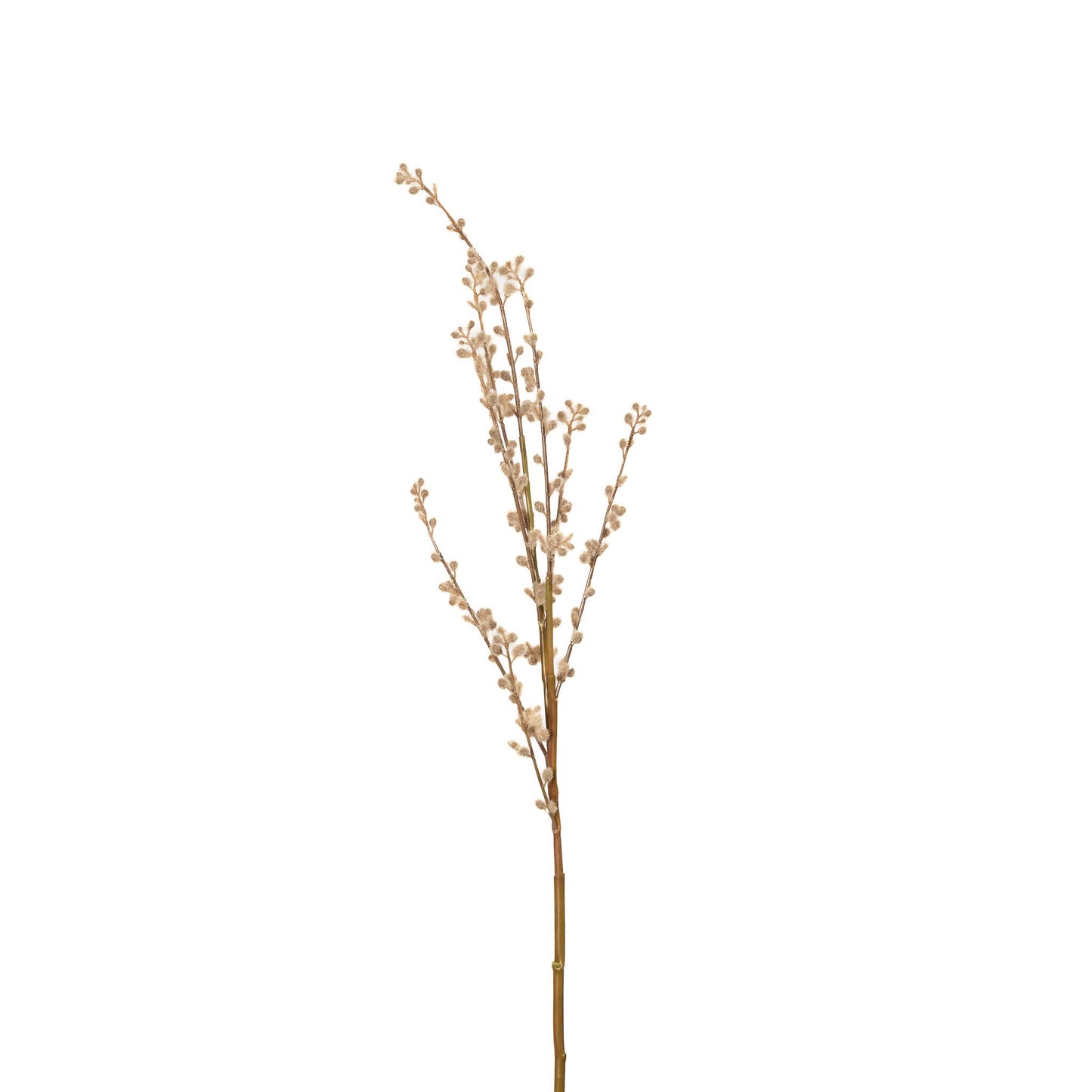 Pussy Willow Branch - 32 Inch