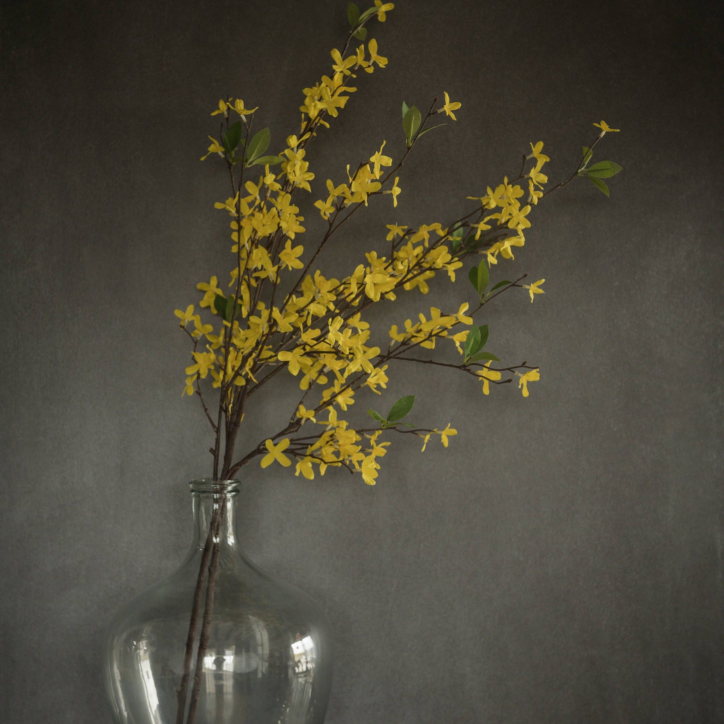 41" FORSYTHIA STEM