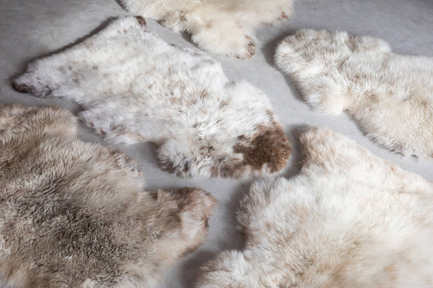 Texel sheepskin mottled