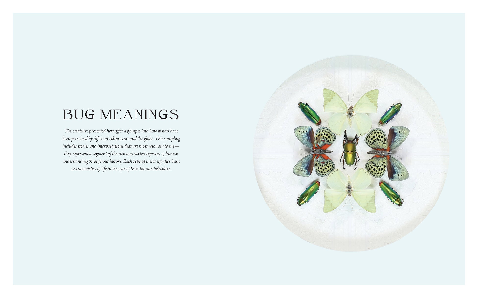 Beautiful Bugs