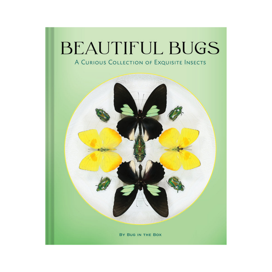 Beautiful Bugs