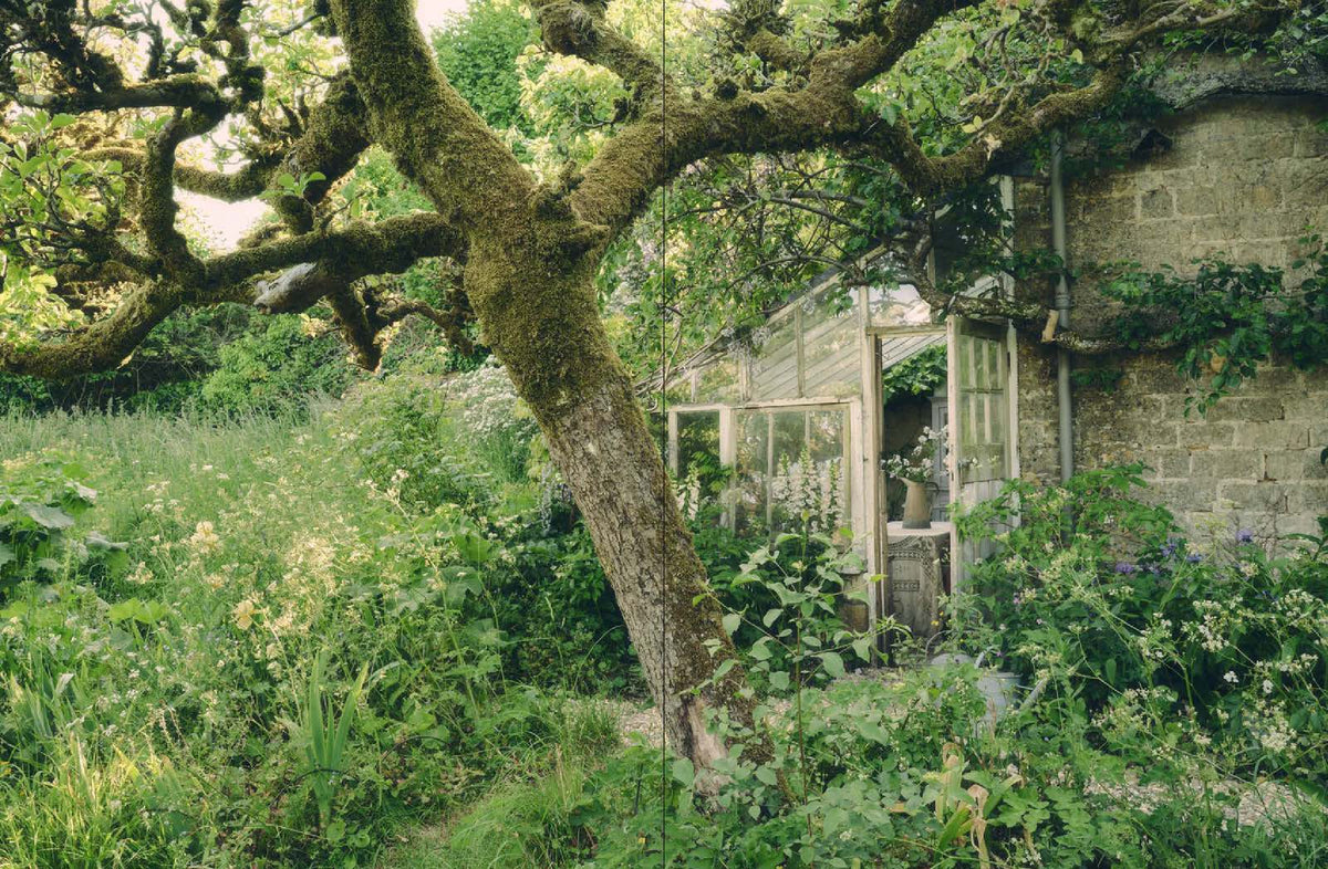 Life Inside A Cottage