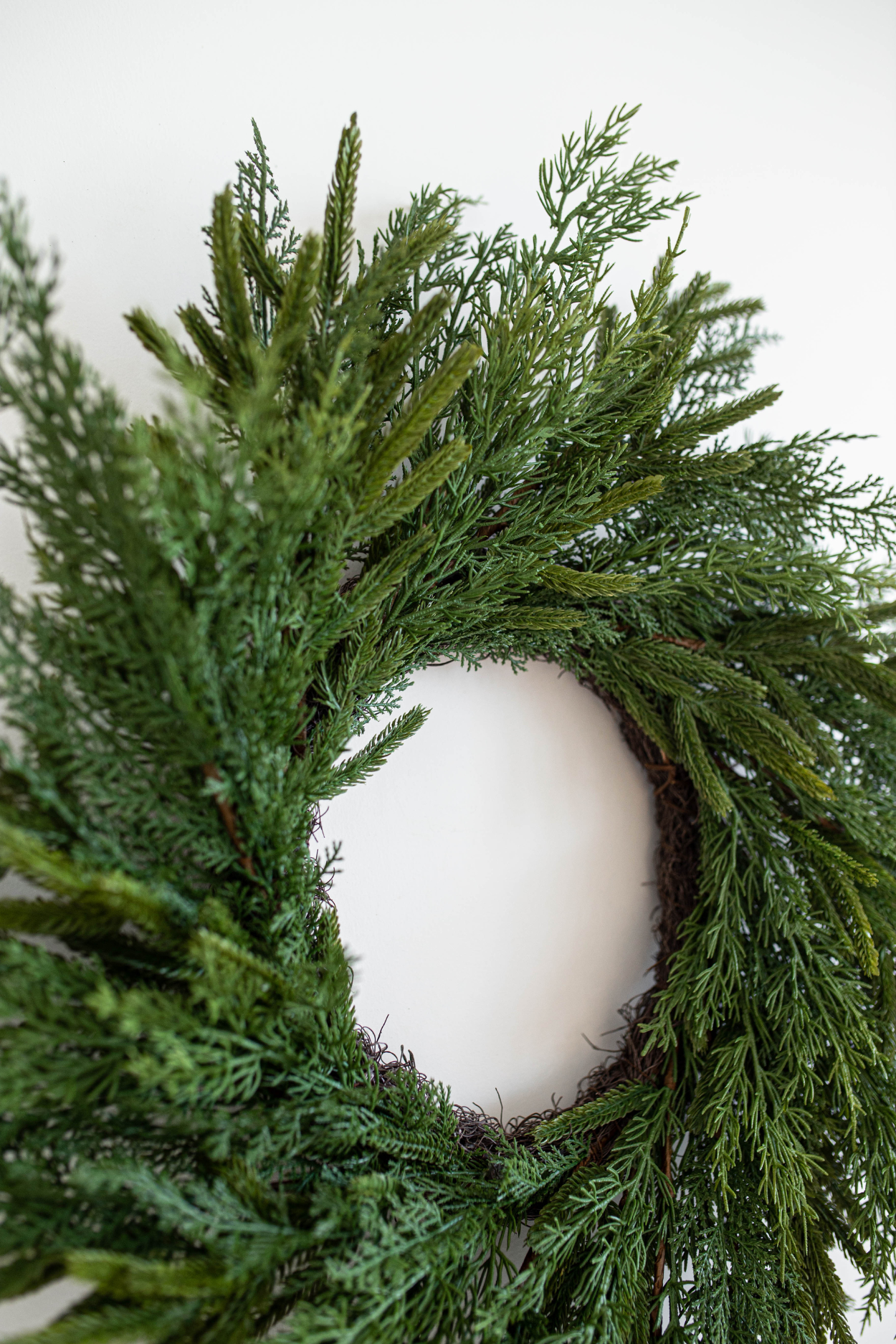 Norfolk & Cypress Pine Mixed Wreath Mini